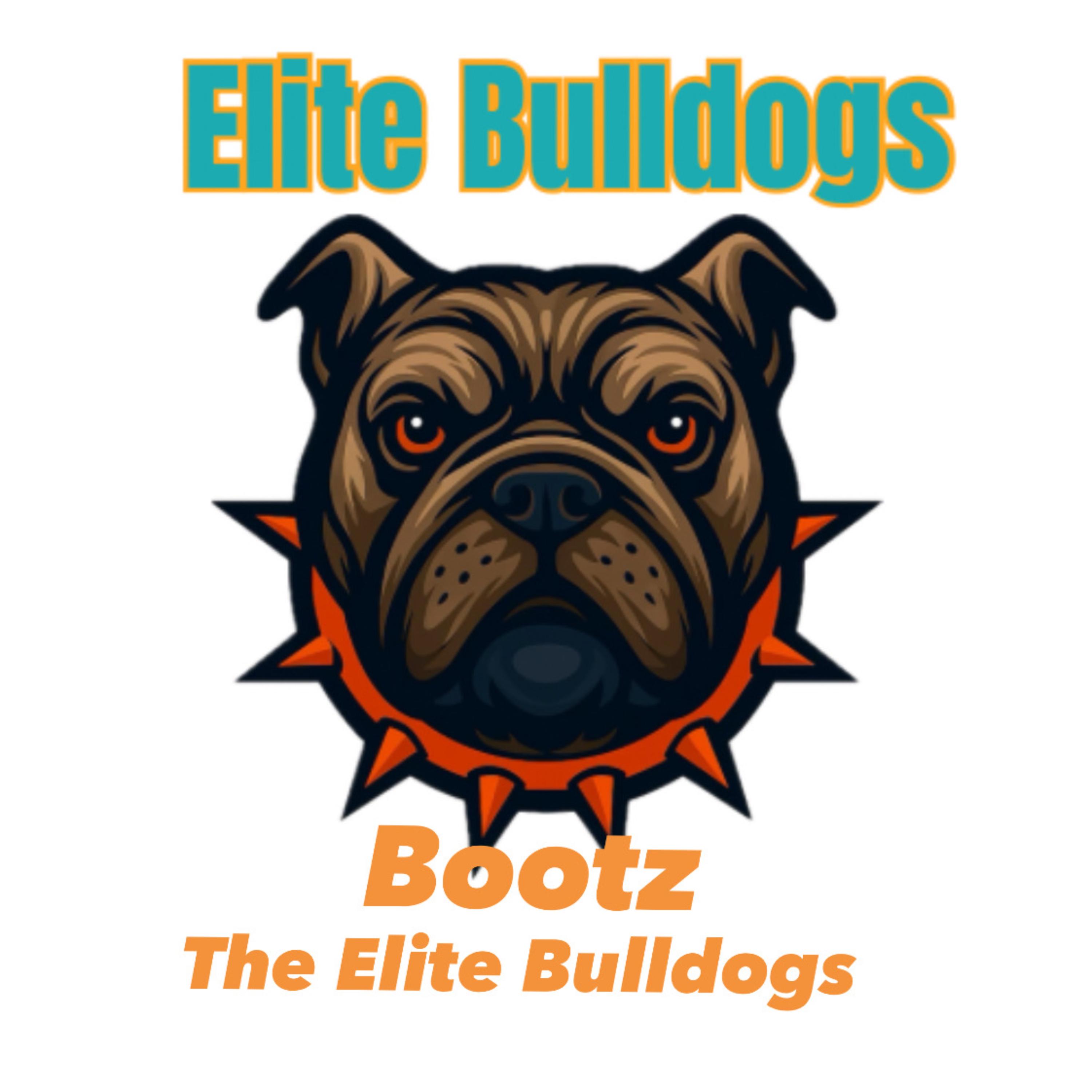 Elite Bulldogs by Bootz cover art