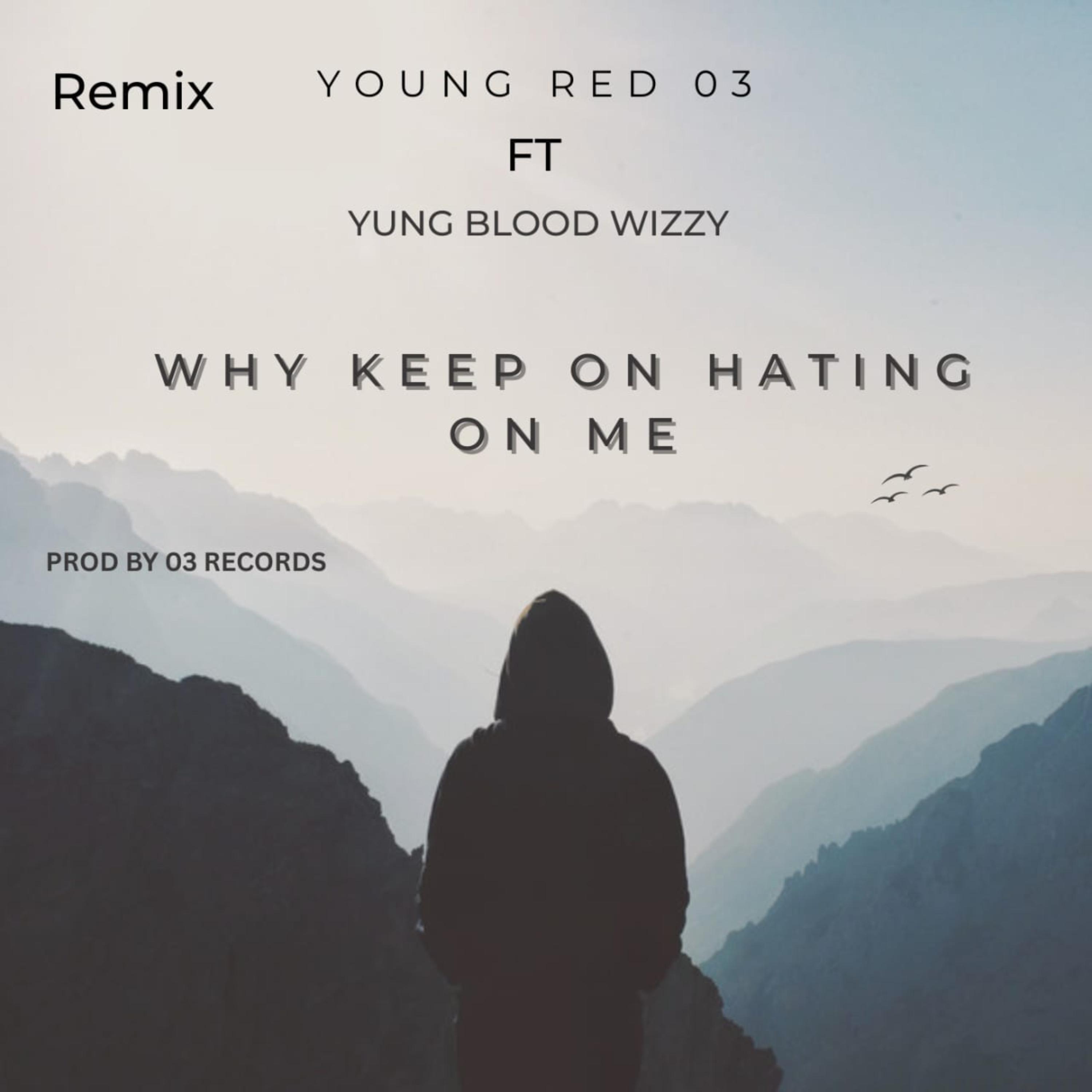 why keep on hating on me (Remix) artwork