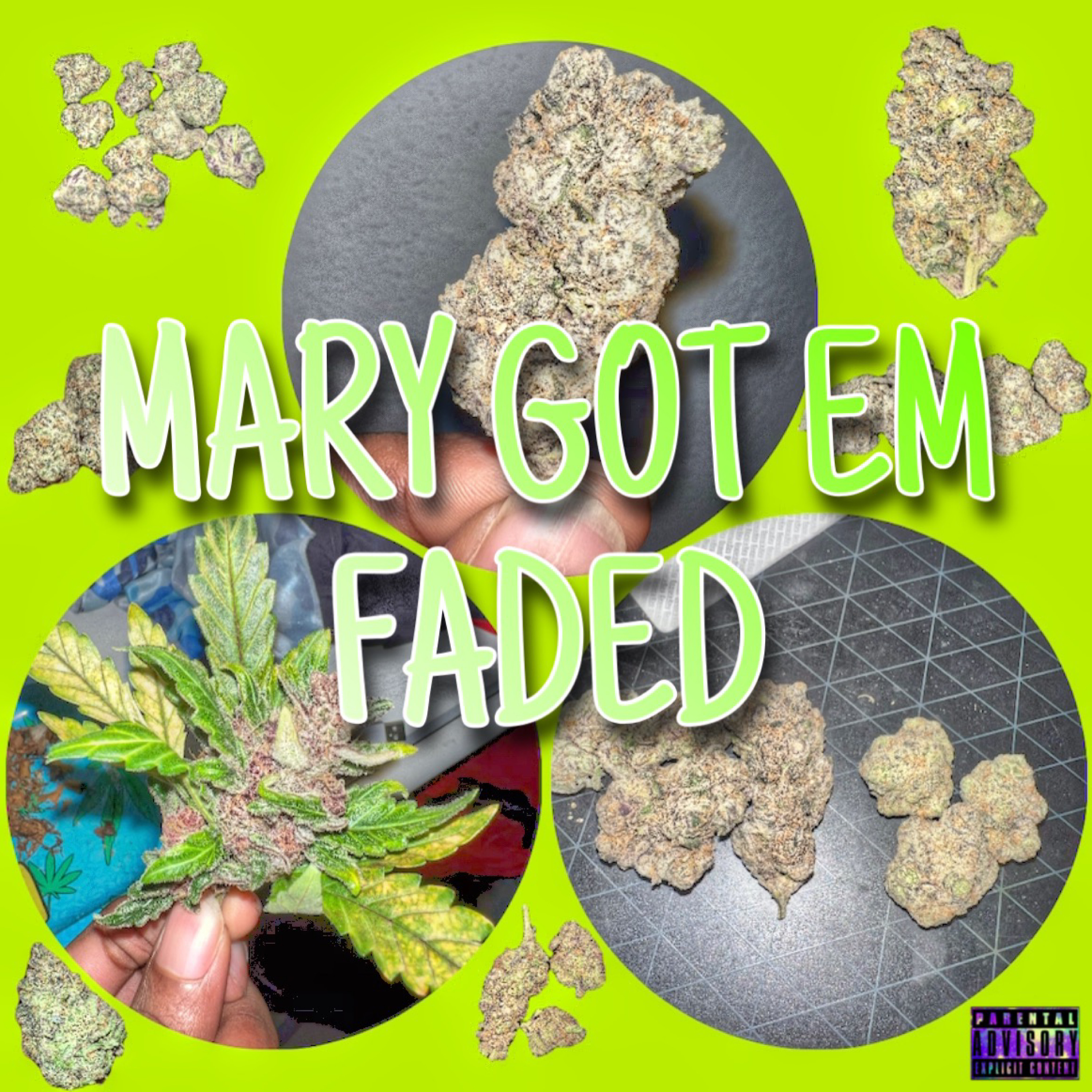 Mary Got Em Faded artwork