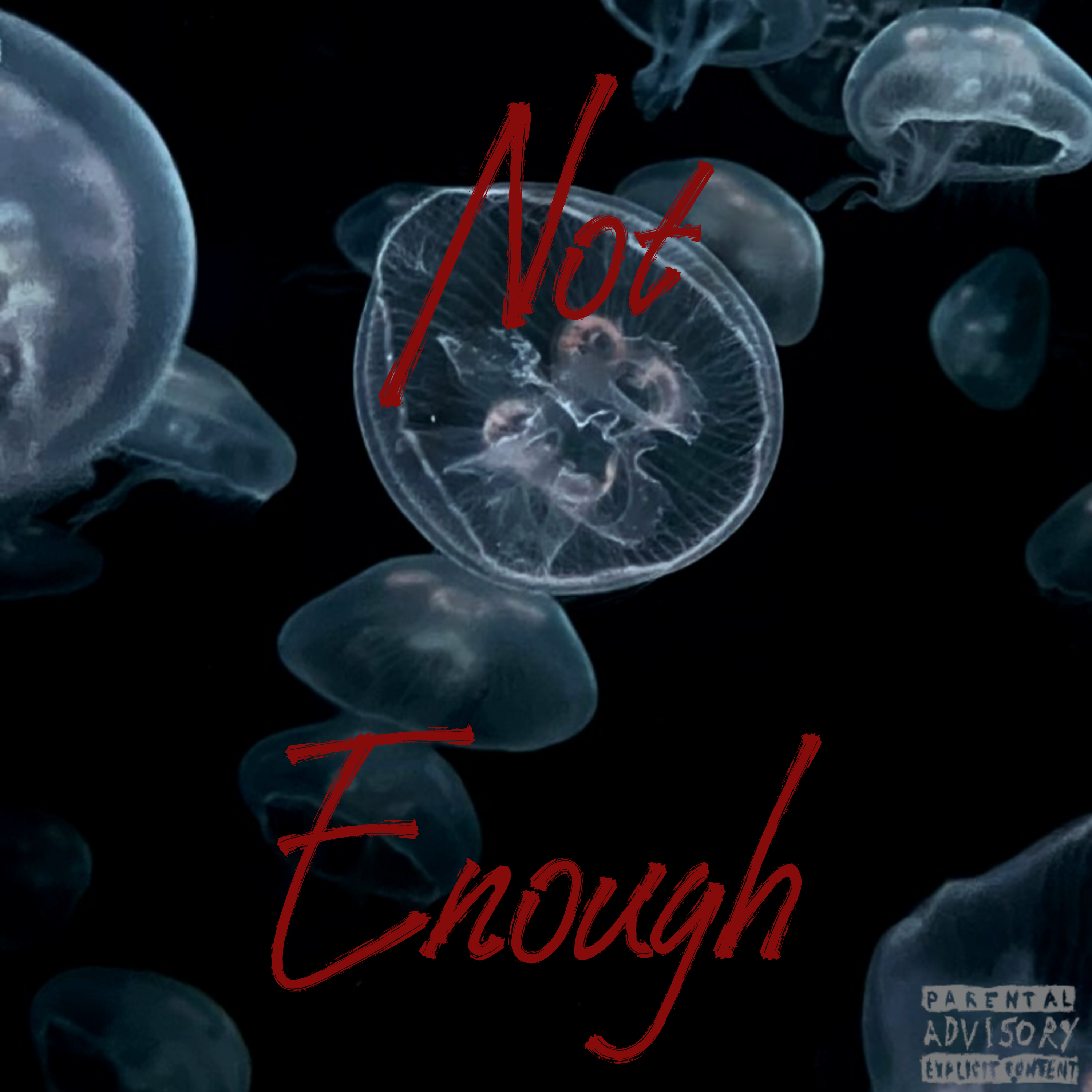 Not Enough artwork