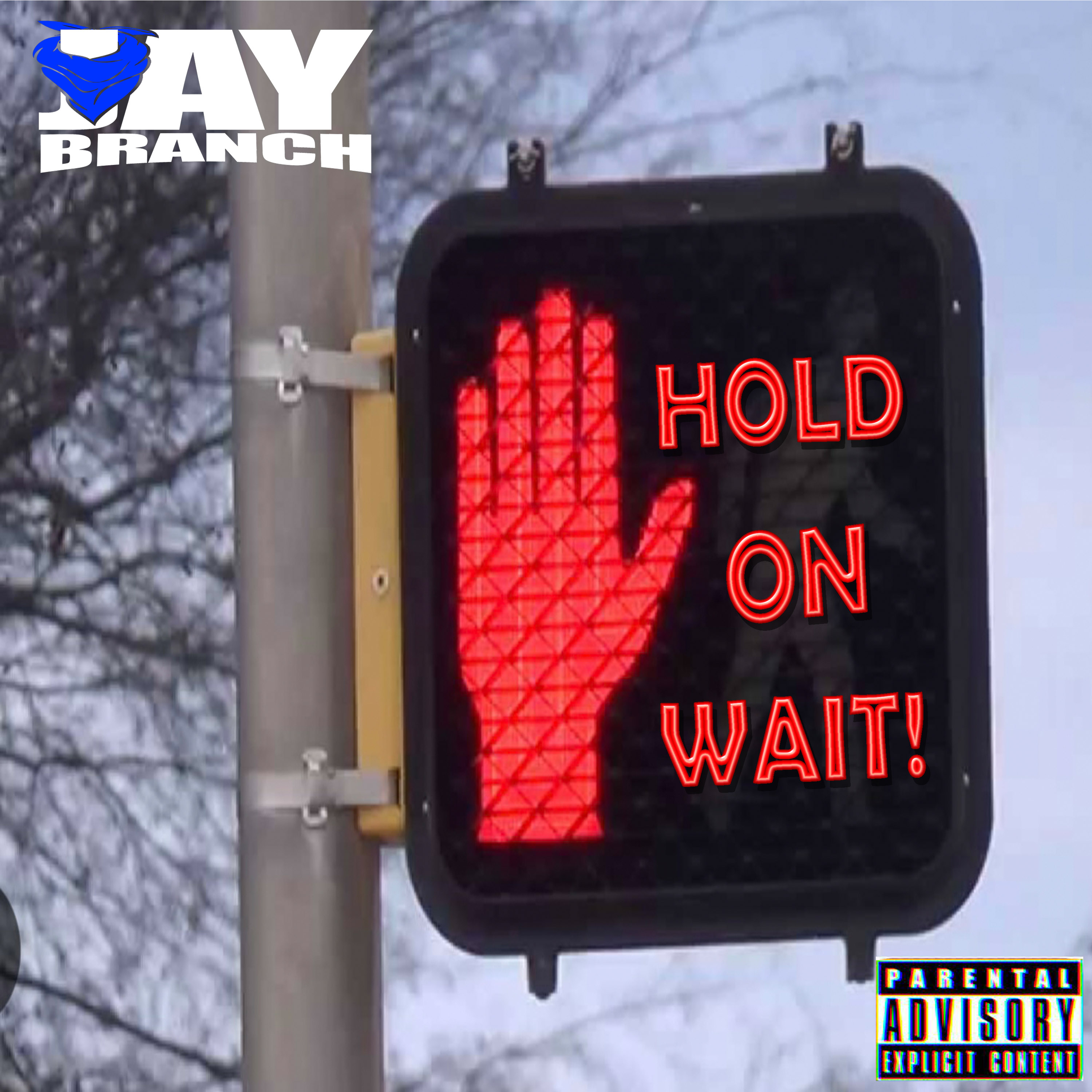 Hold On Wait artwork