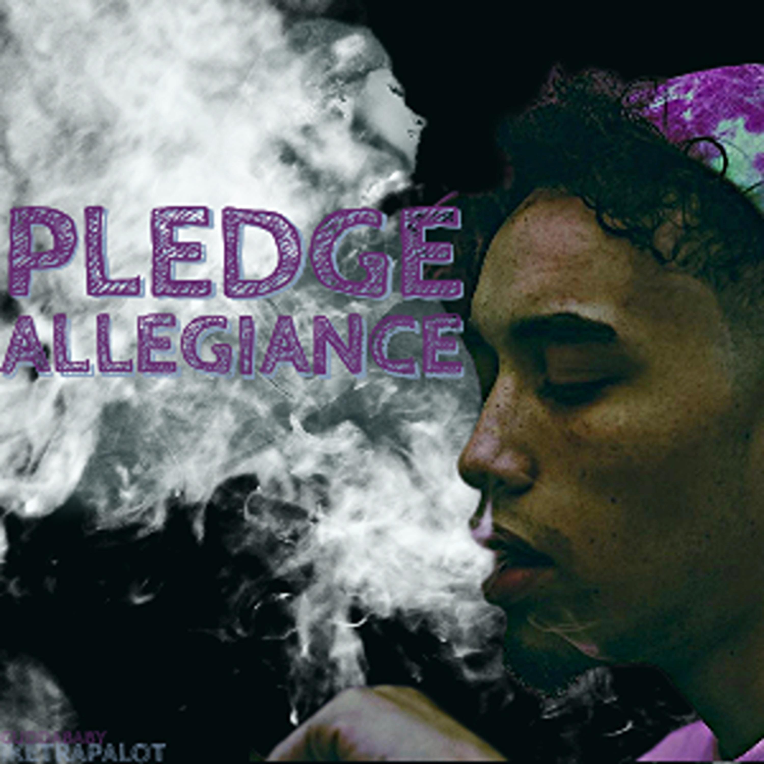 Pledge Allegiance artwork