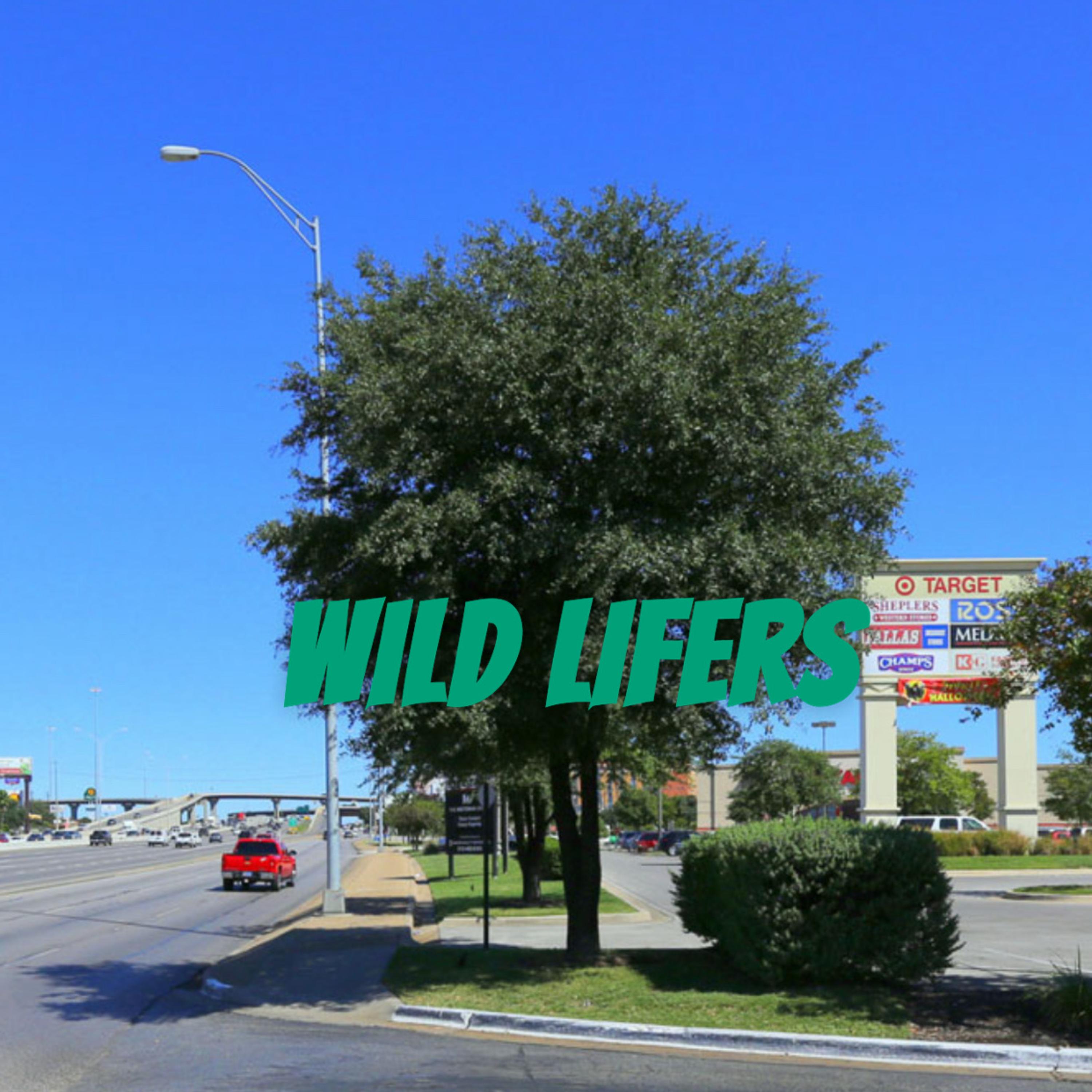 WILD LIFERS artwork
