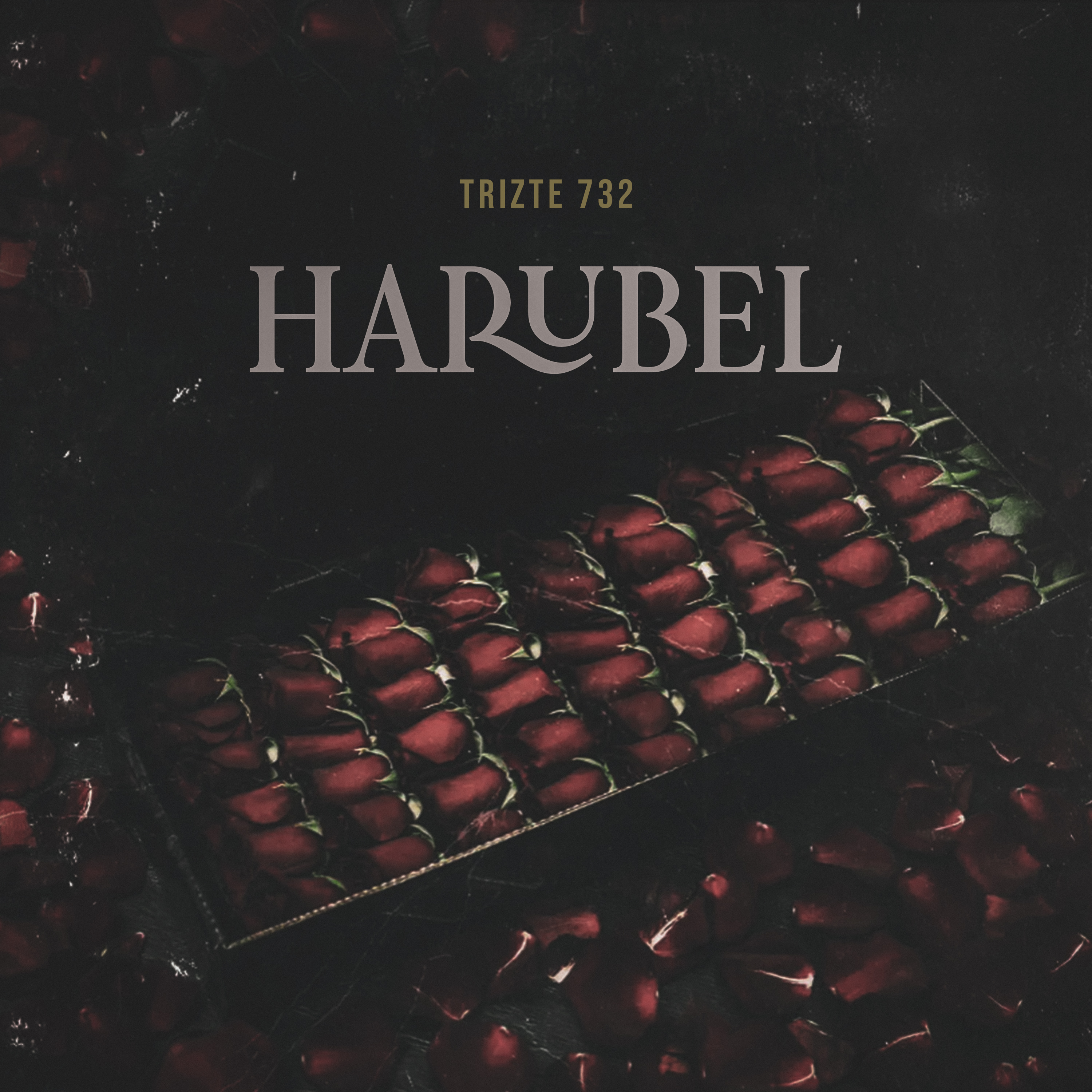 Harubel by Trizte732 cover art