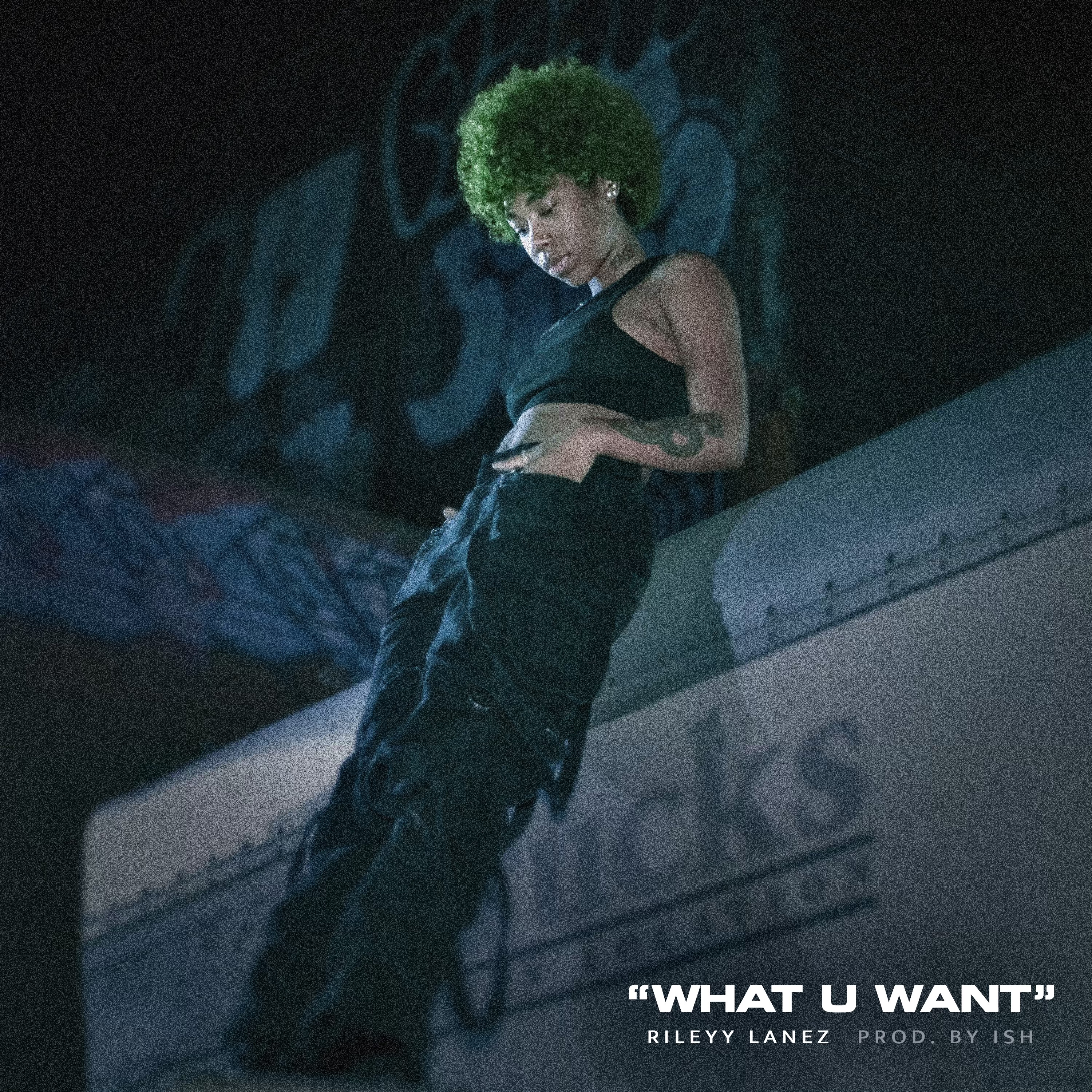 What U Want artwork