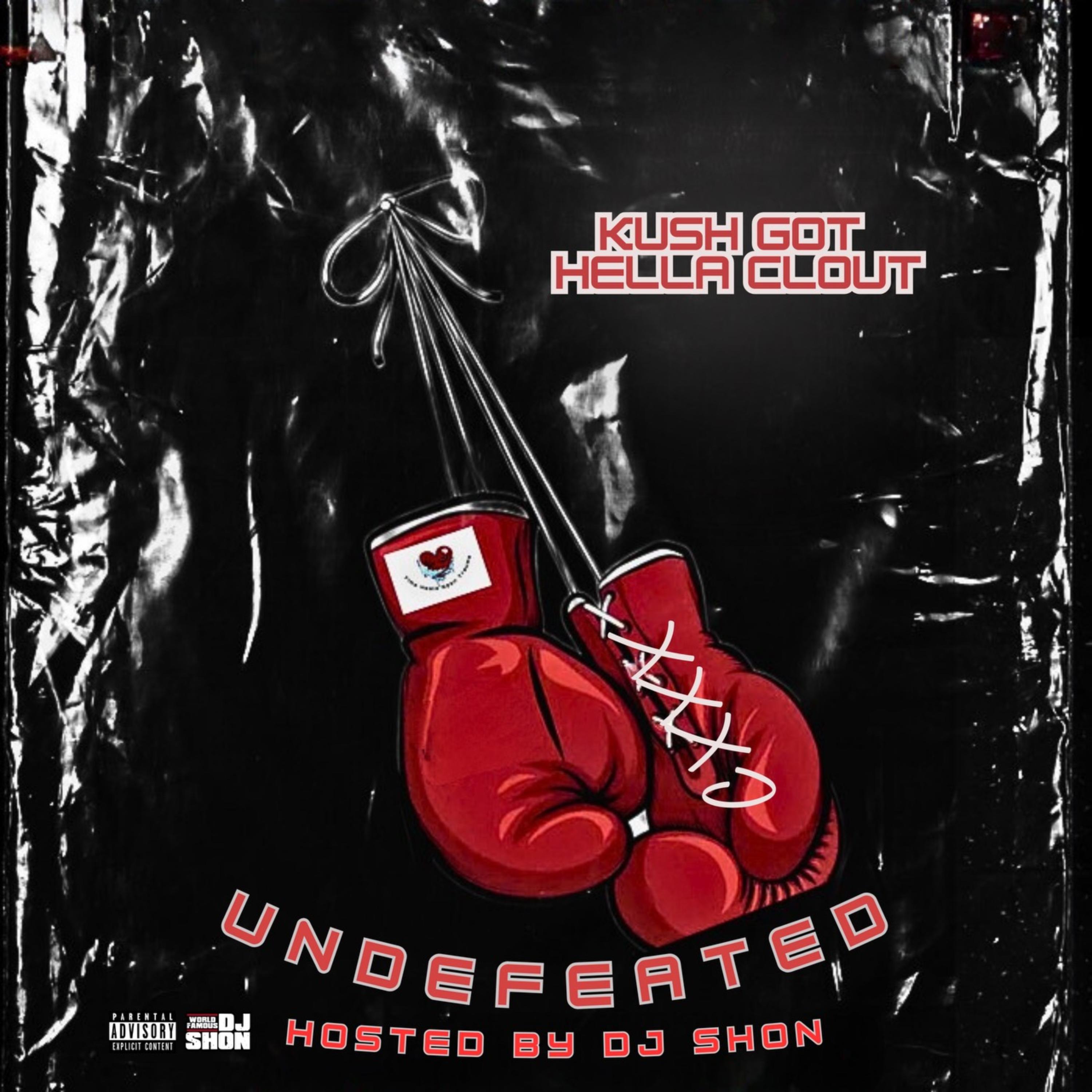 Undefeated artwork
