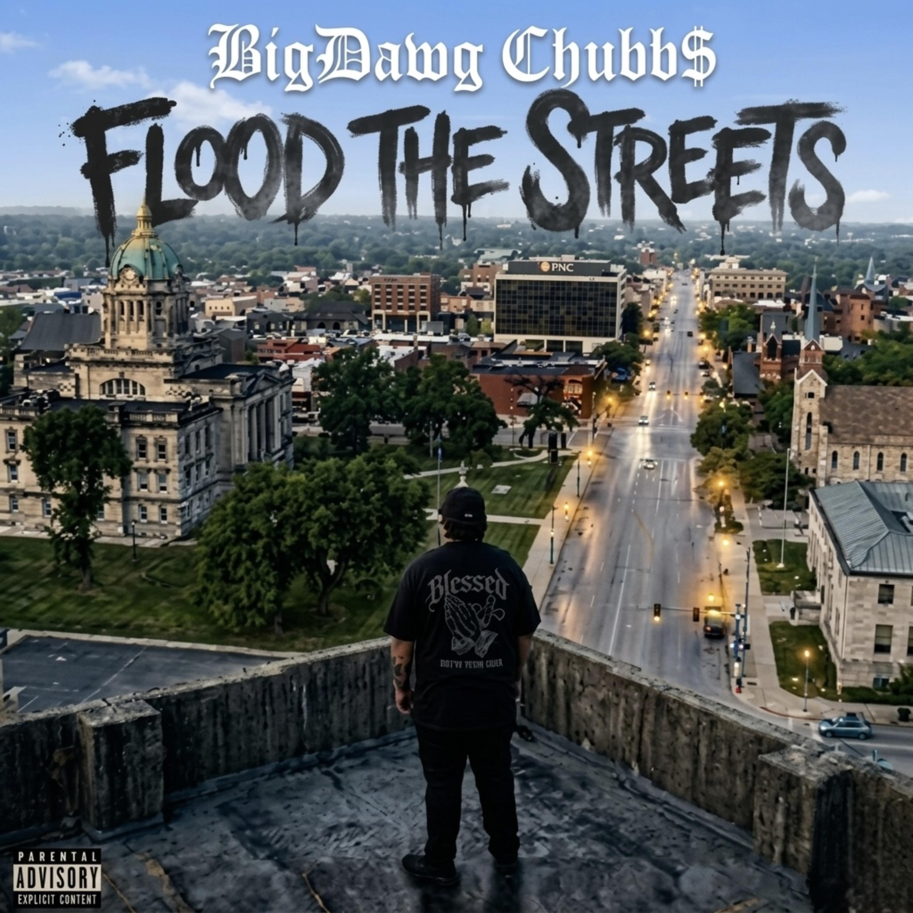 Flood The Streets by BigDawg Chubb$ cover art