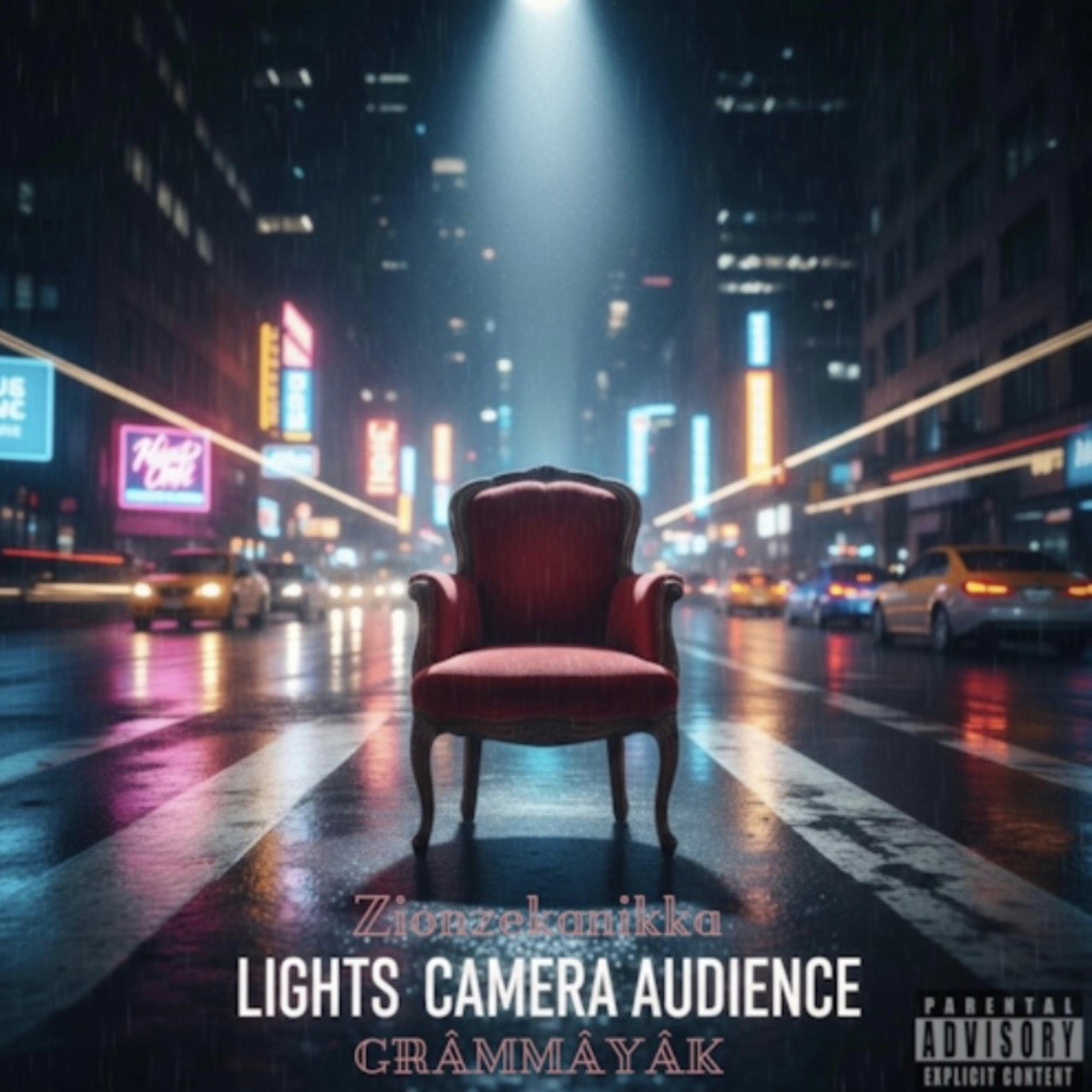 Lights, Camera, Audience artwork