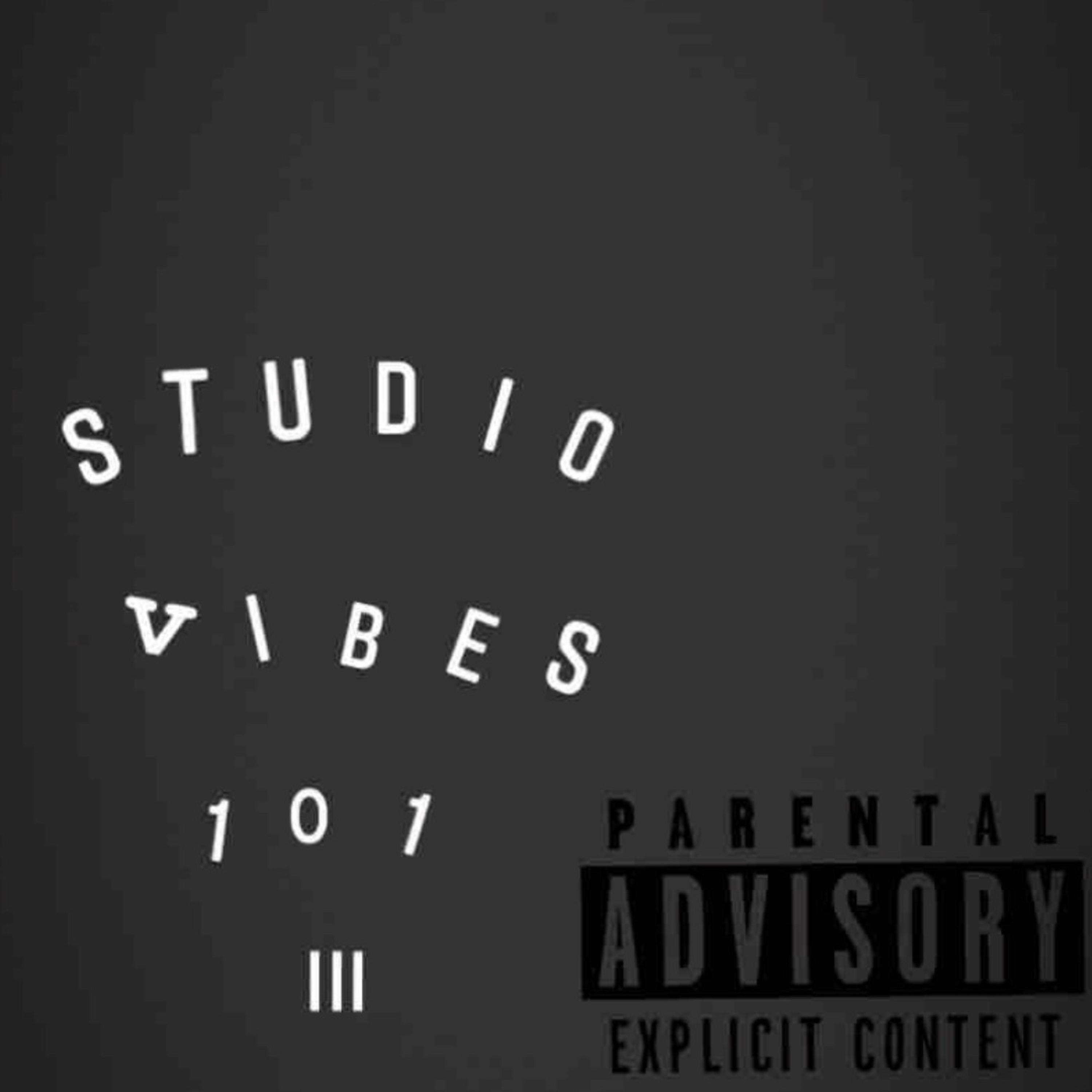 Studio Vibes 101 III artwork