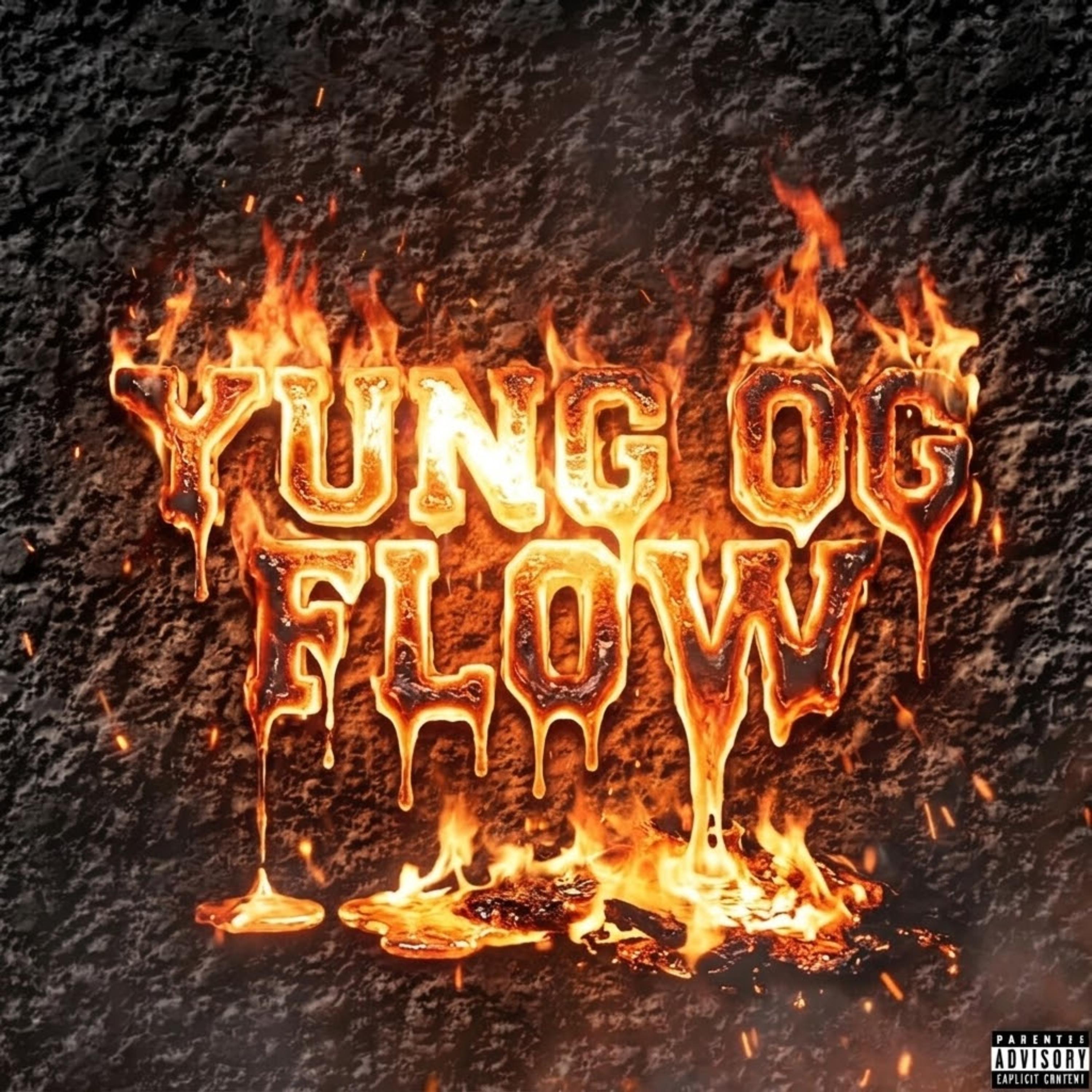 Yung Og Flow by North6ideTae cover art