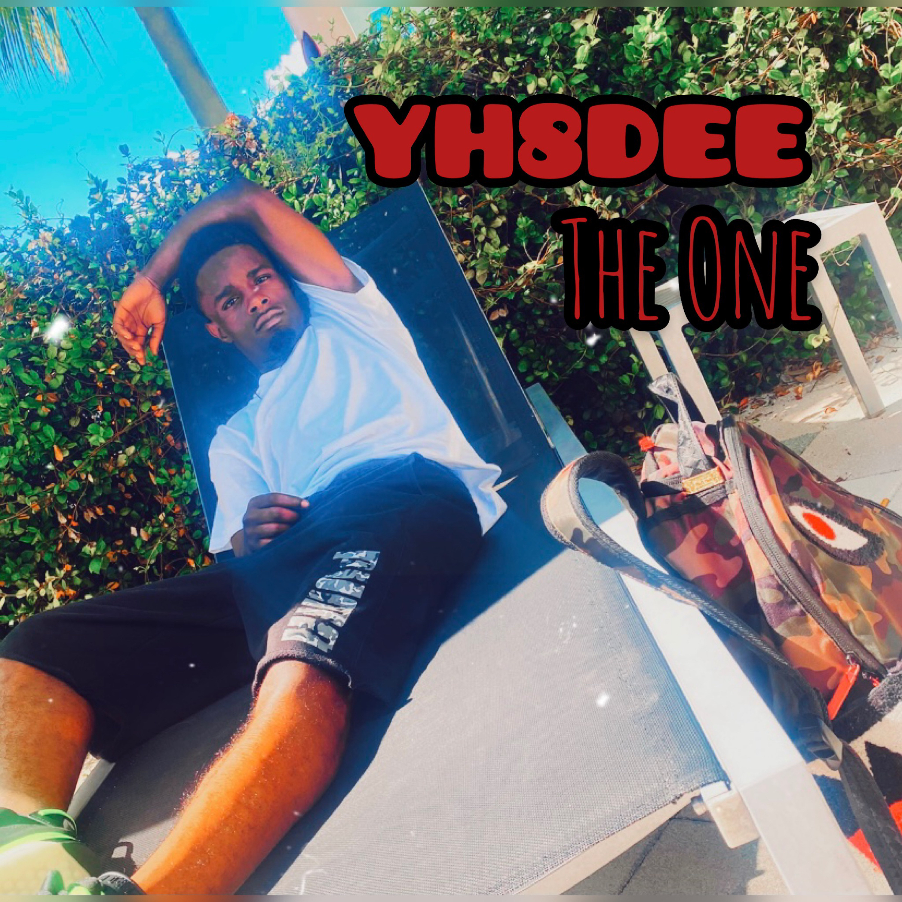 The One by Yh8 Dee cover art