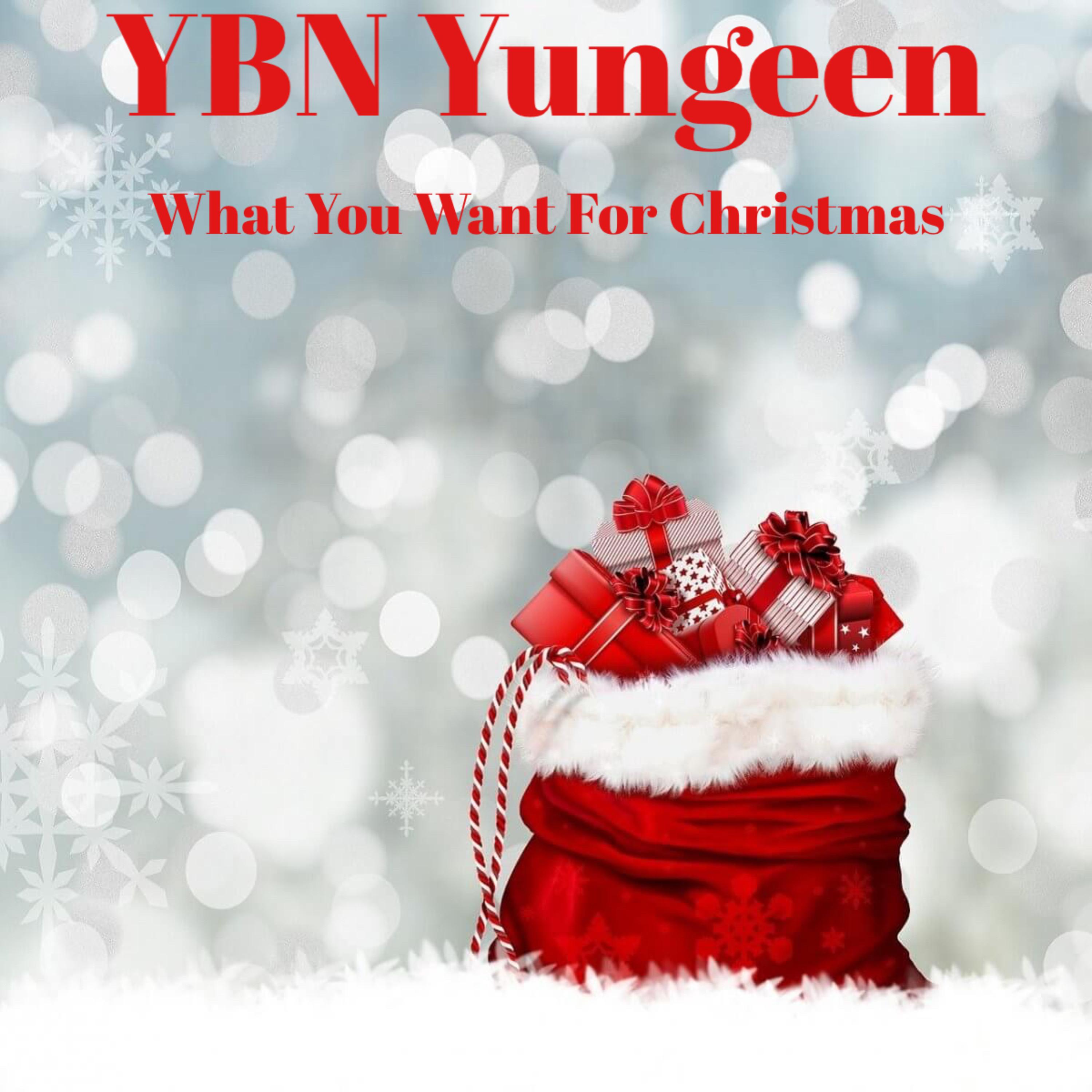 What You Want For Christmas by YBN Yungeen cover art