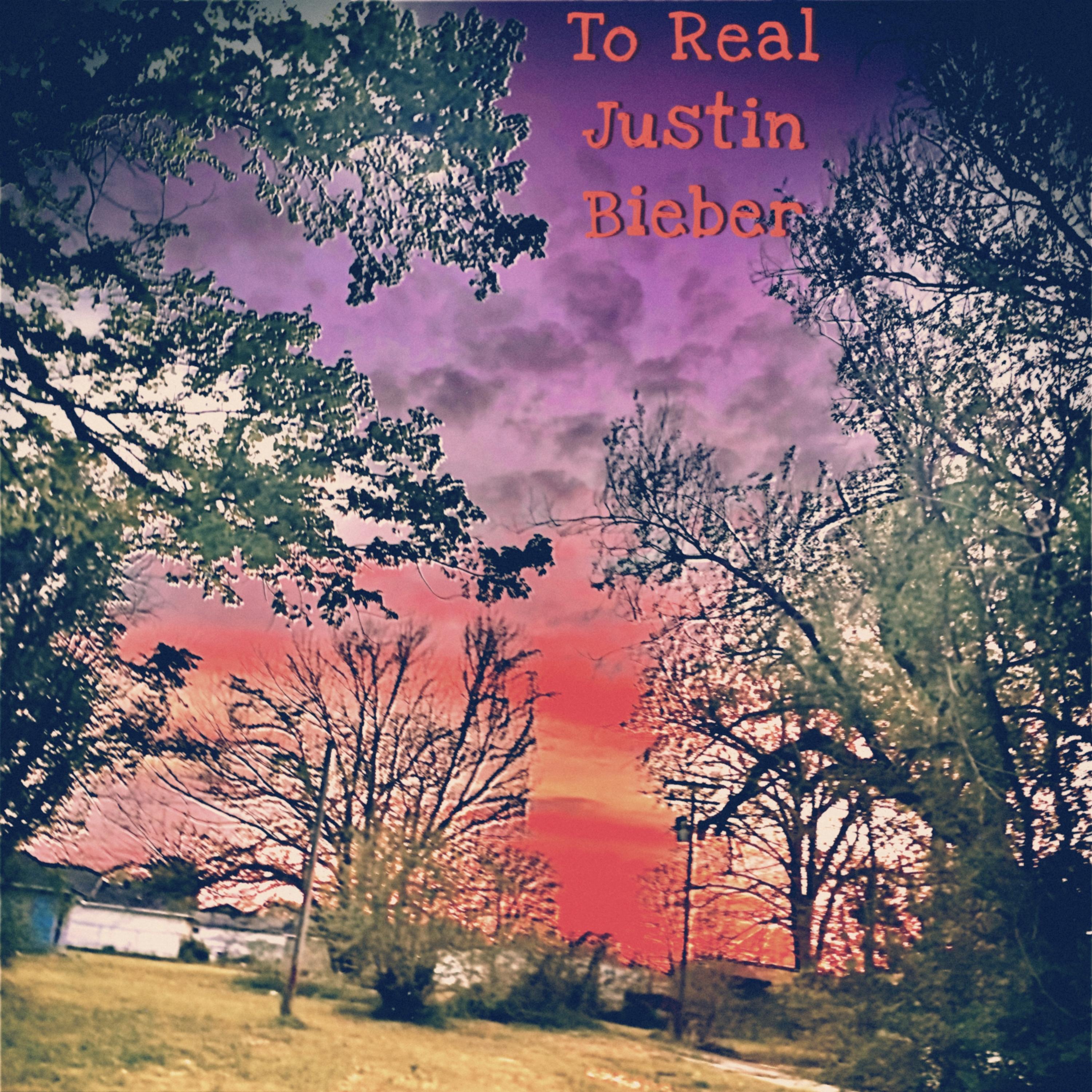 To’Real Justin Bieber by To’Real Turtle cover art