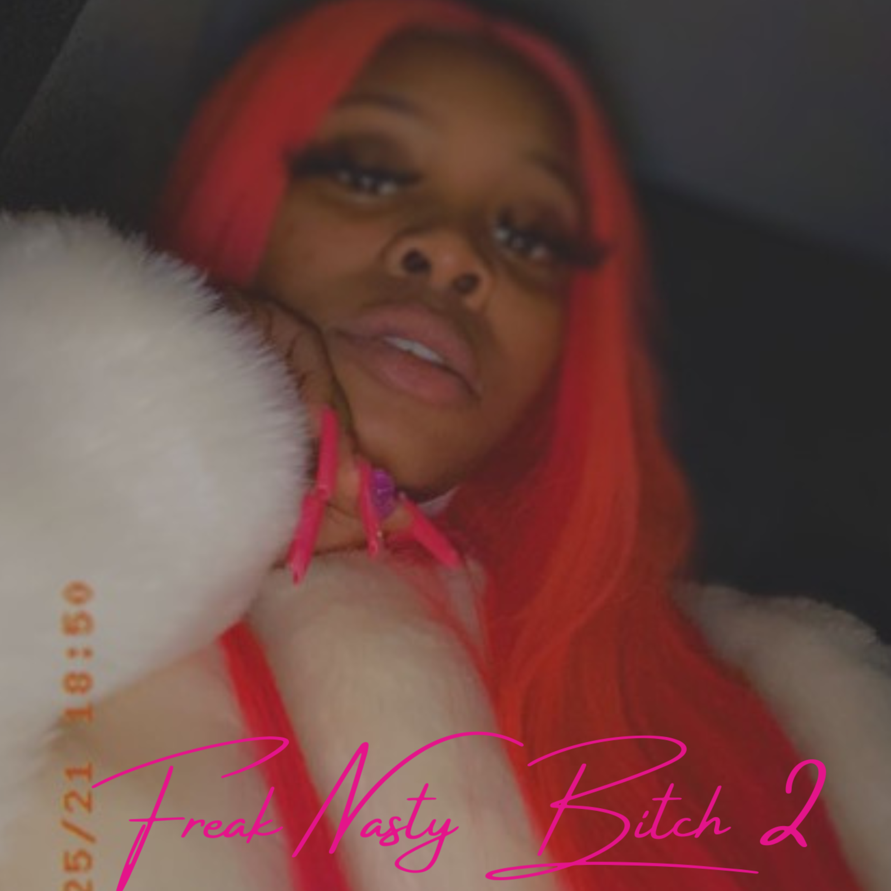 Freak Nasty Bitch 2 artwork