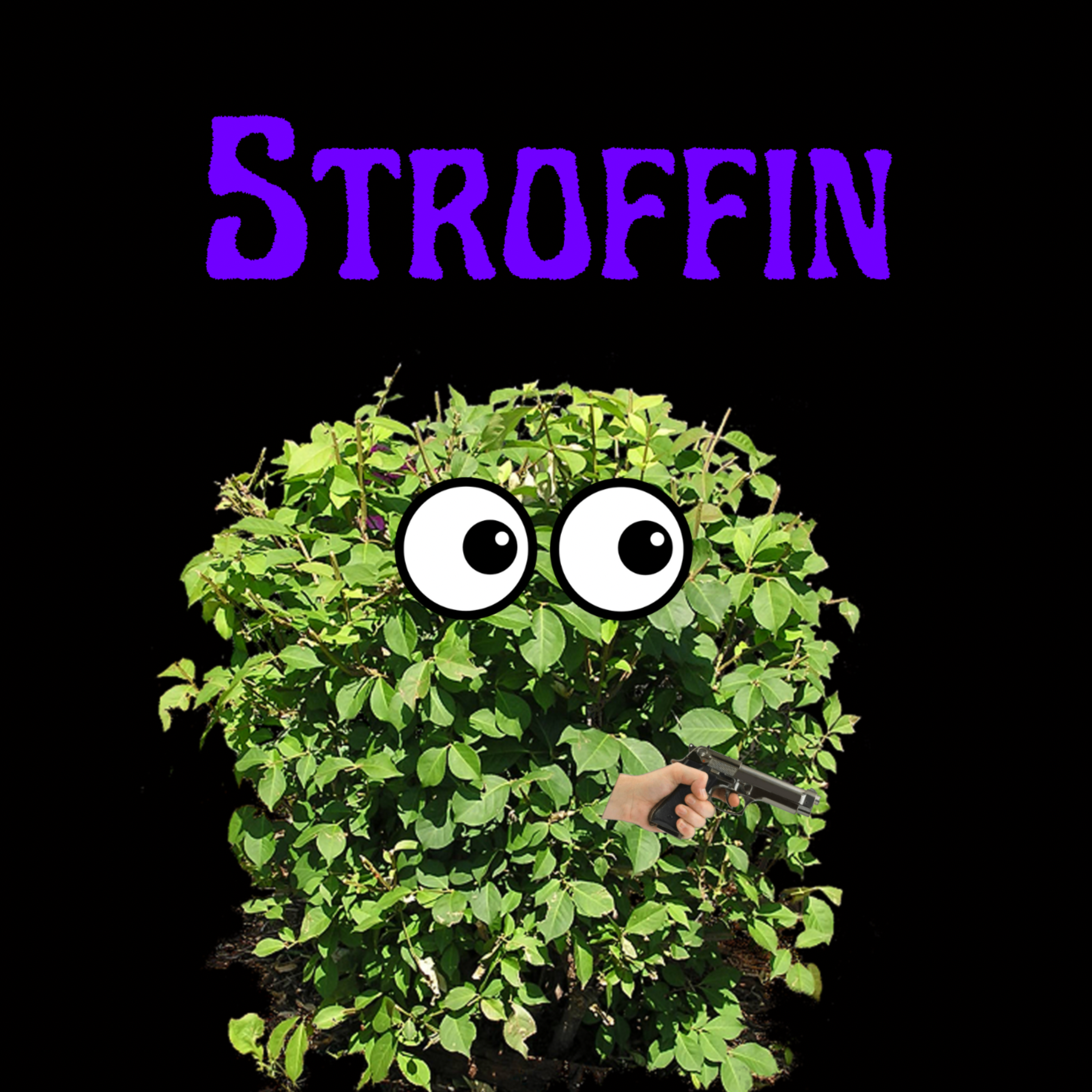 Stroffin artwork