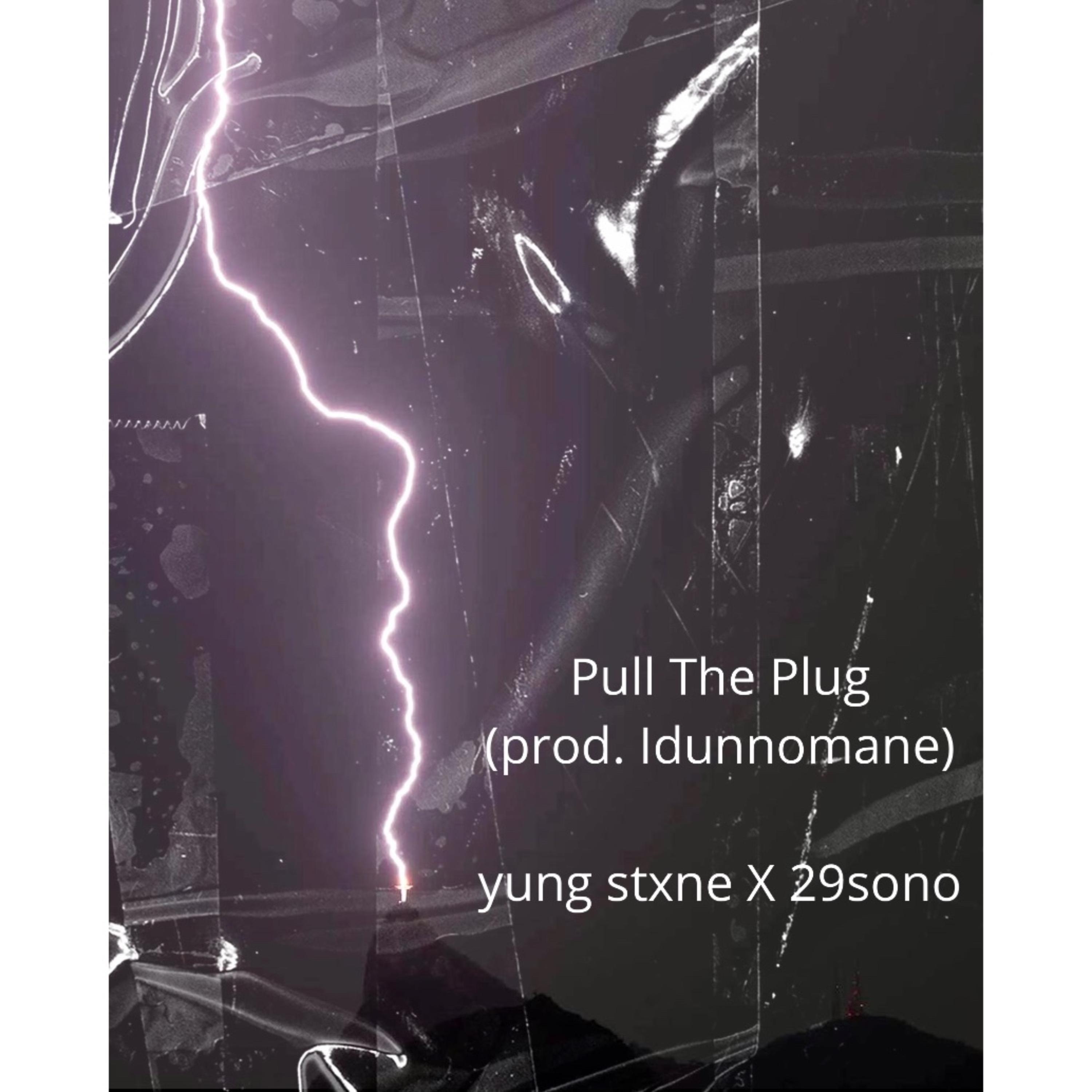 Pull The Plug artwork