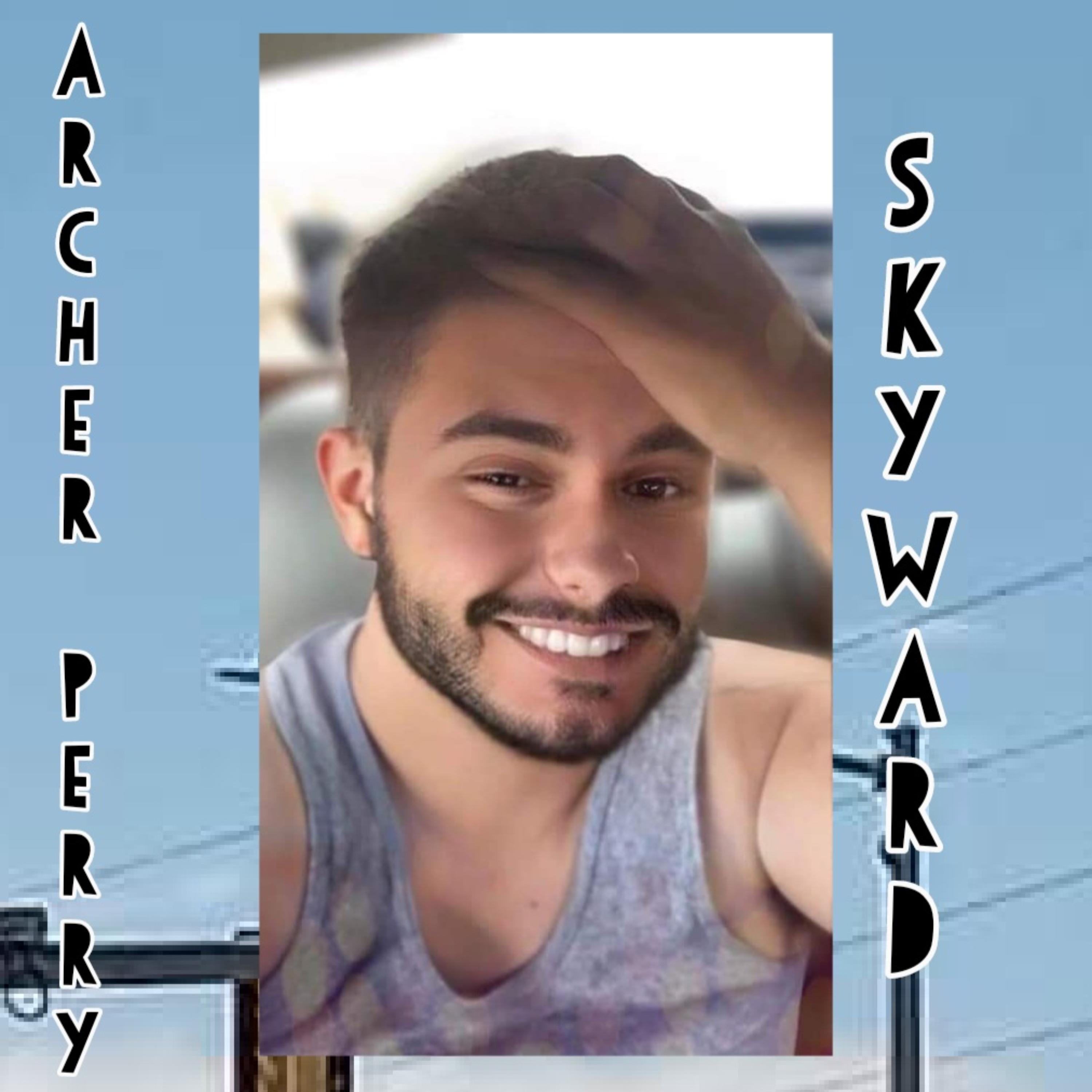 Skyward artwork