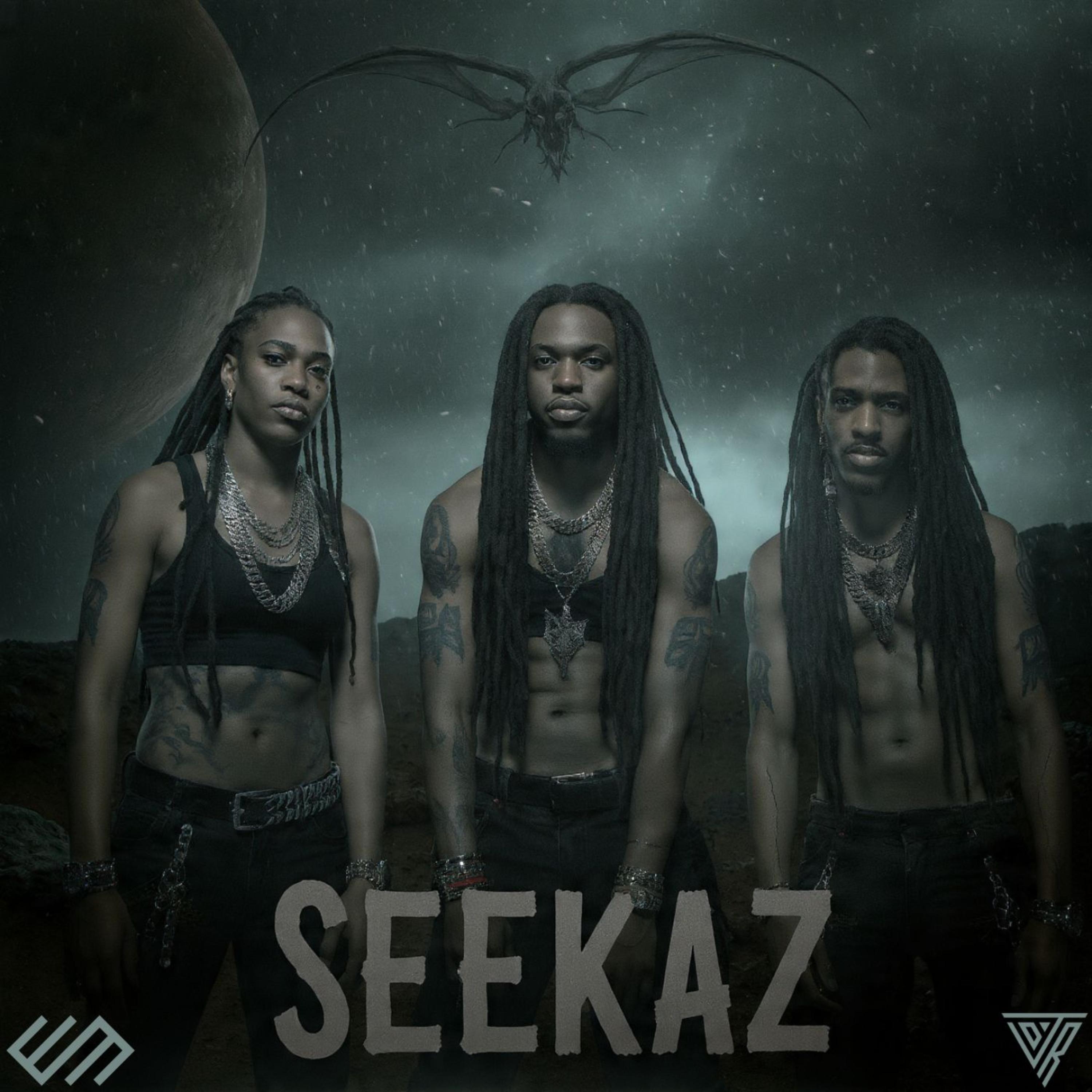 SEEKAZ artwork
