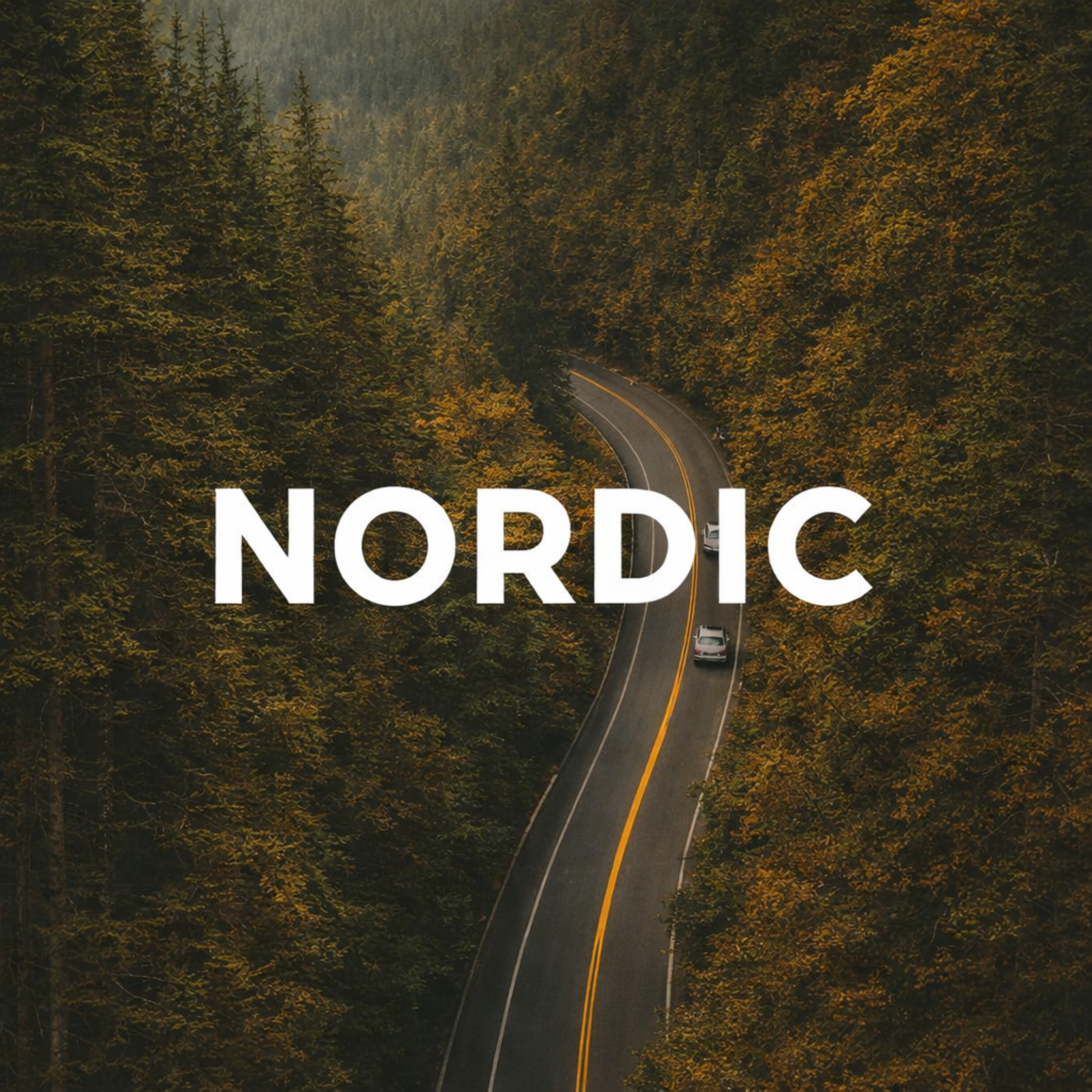 Nordic artwork