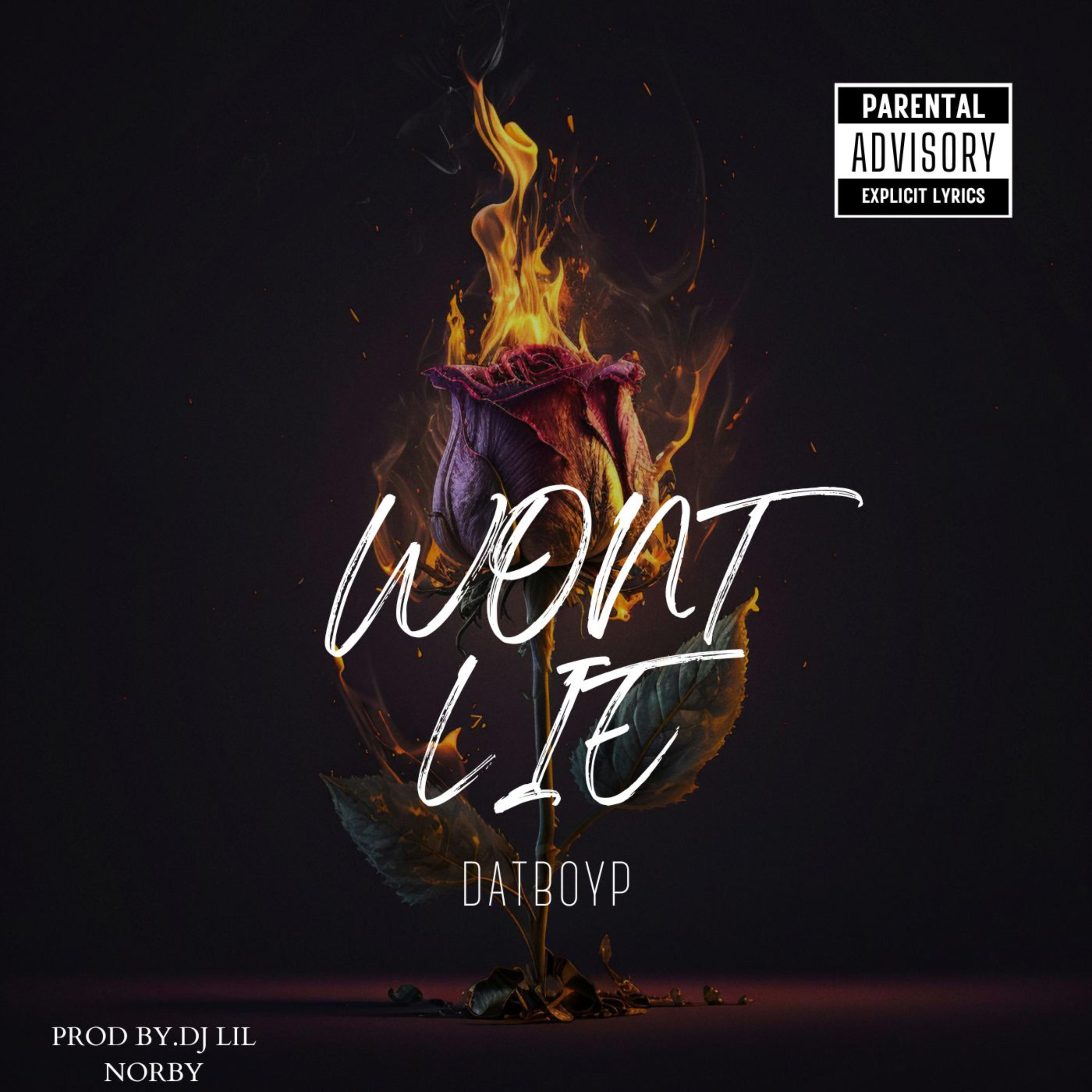WONT LIE artwork