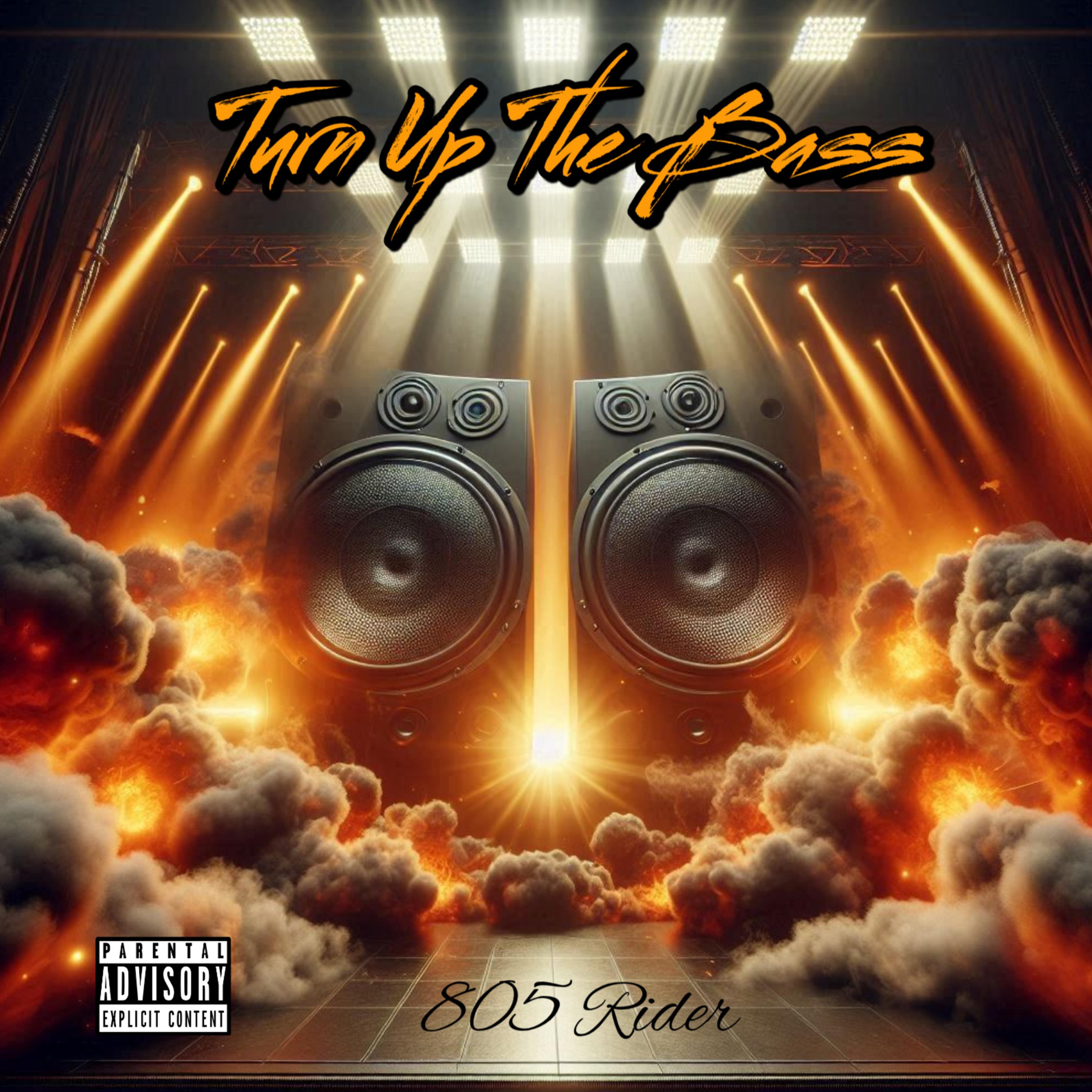 Turn Up The Bass artwork
