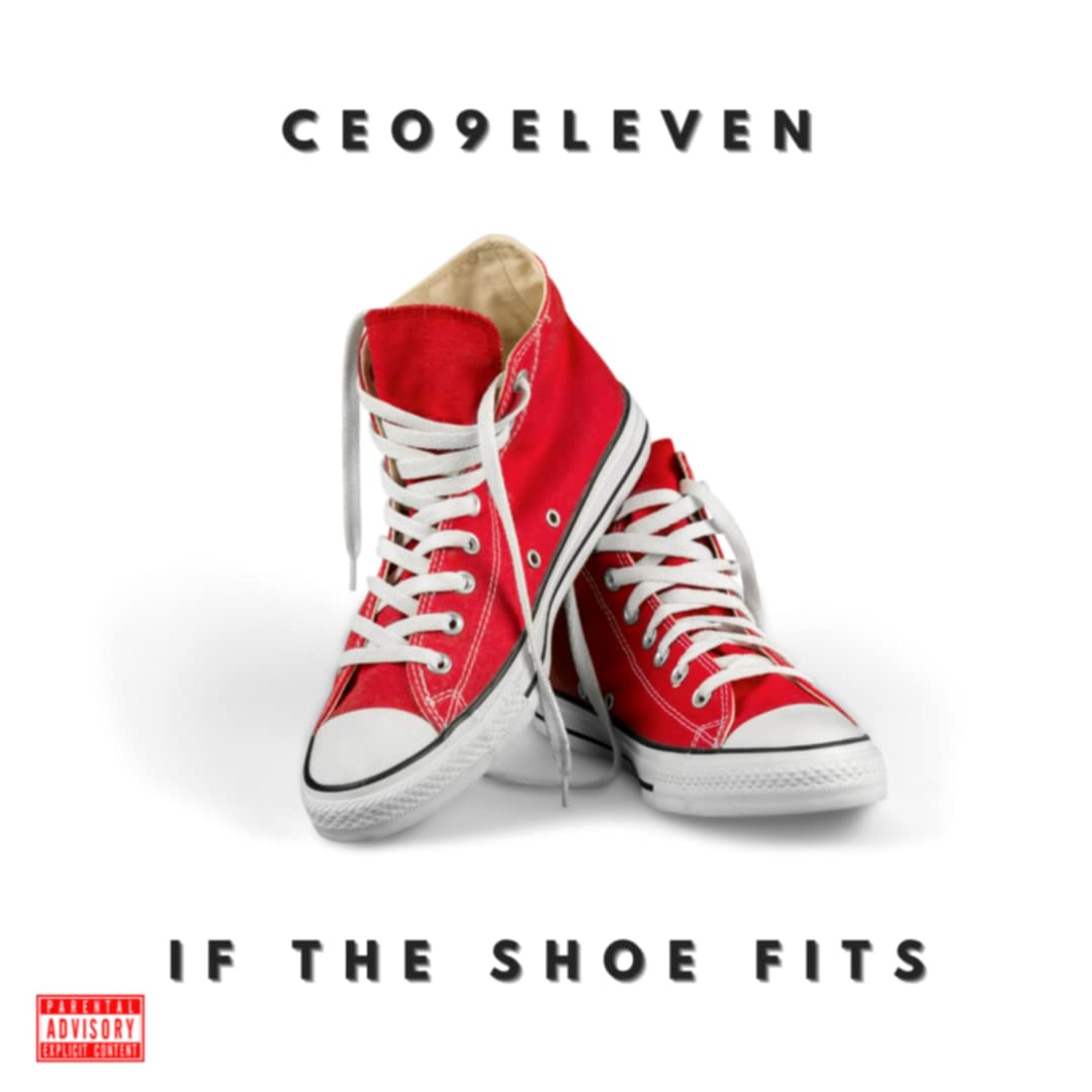 If The Shoe Fit artwork