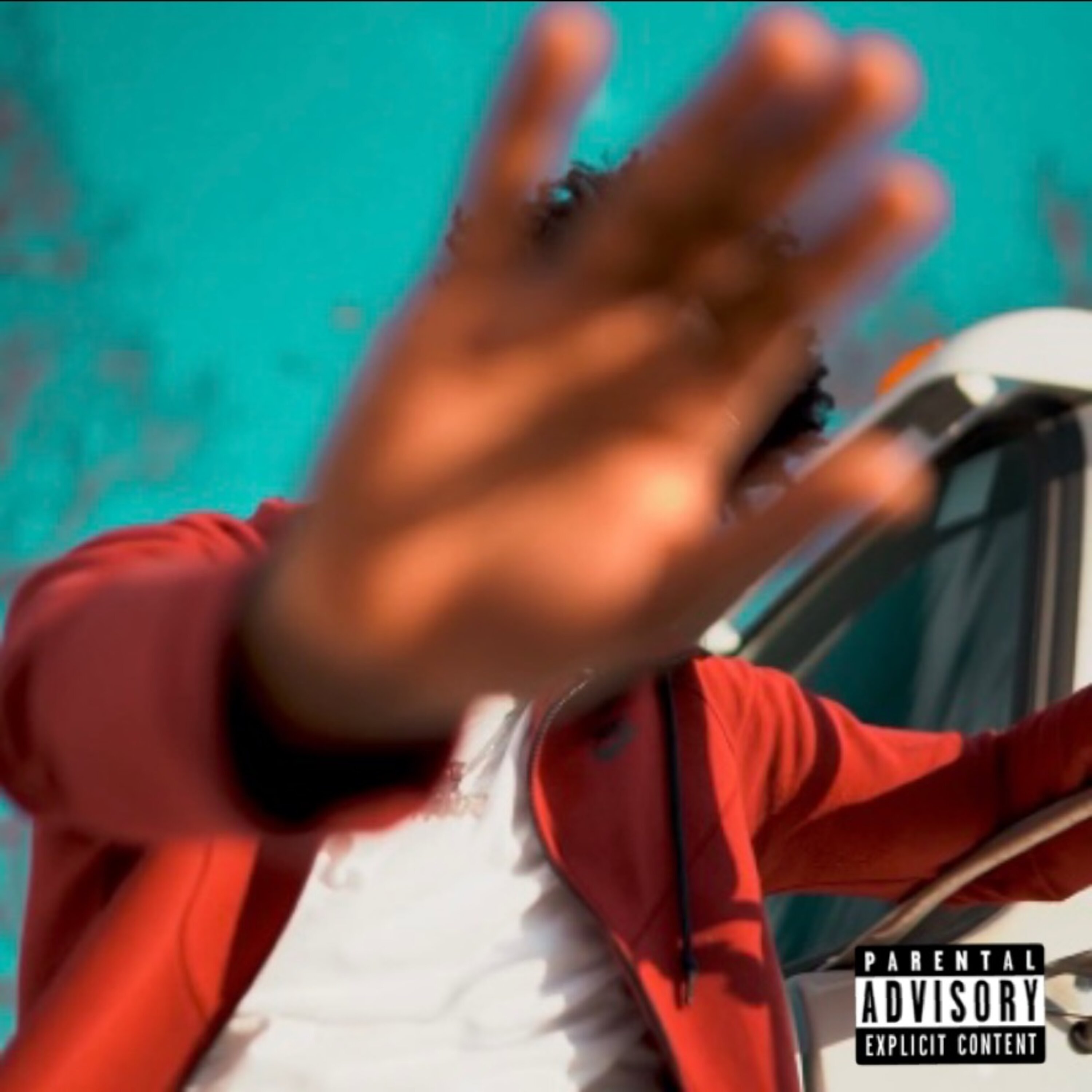 Blind to the Fact artwork