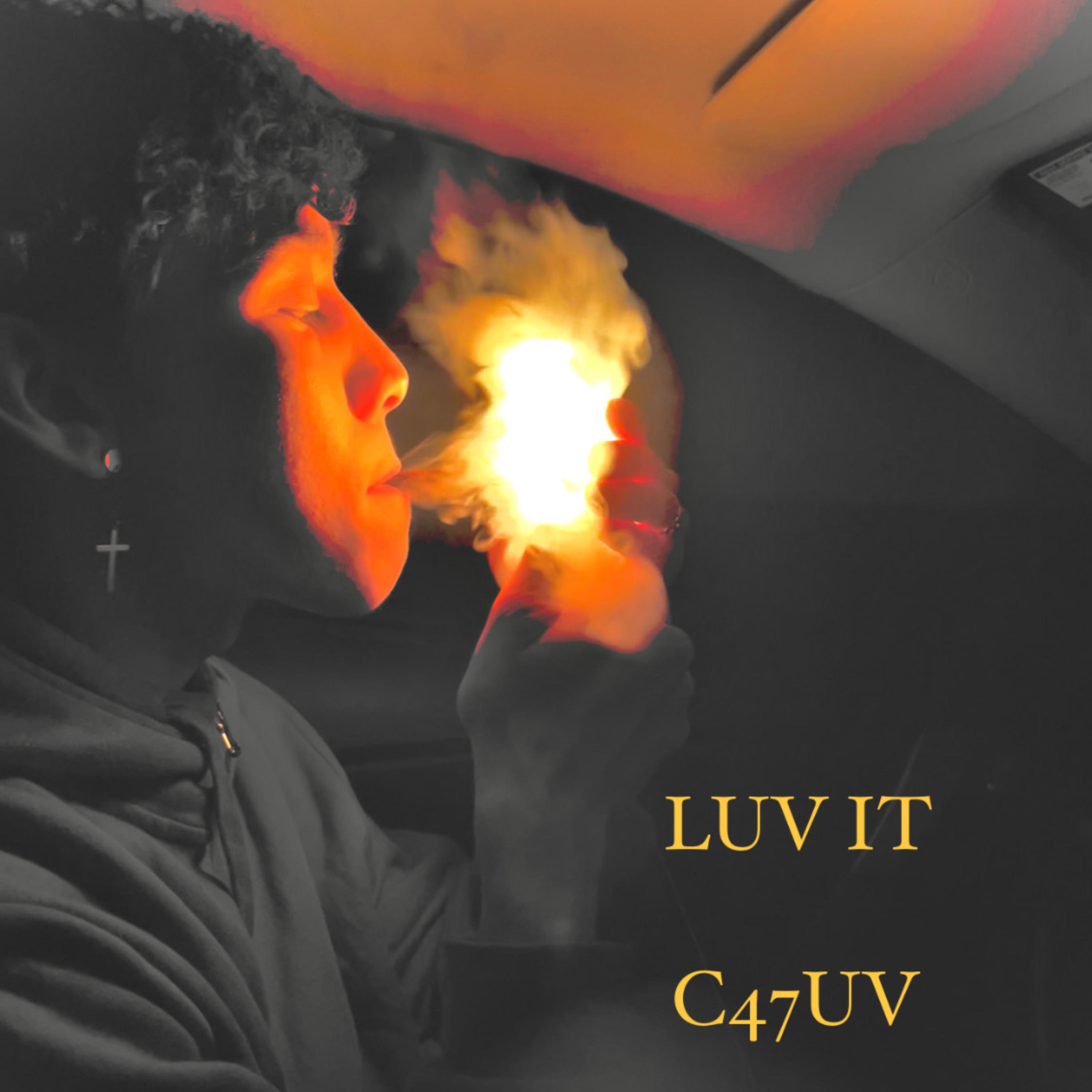 LUV IT artwork
