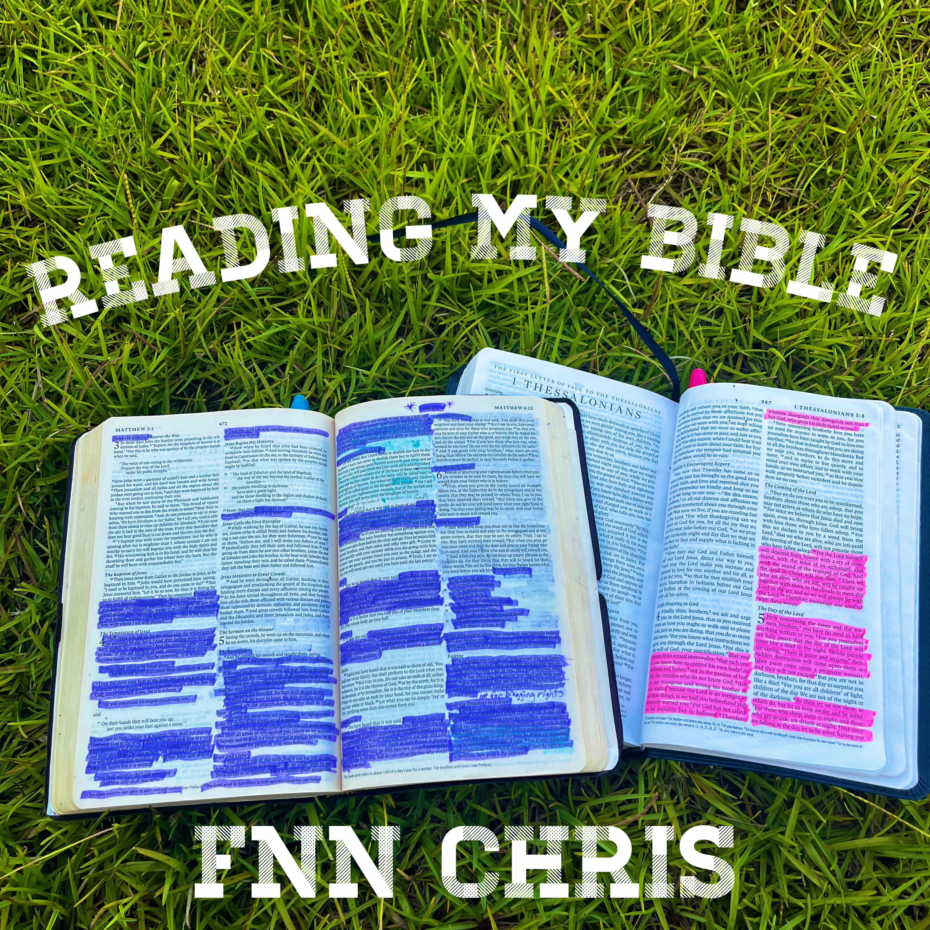 Reading My Bible by FNNCHRIS cover art