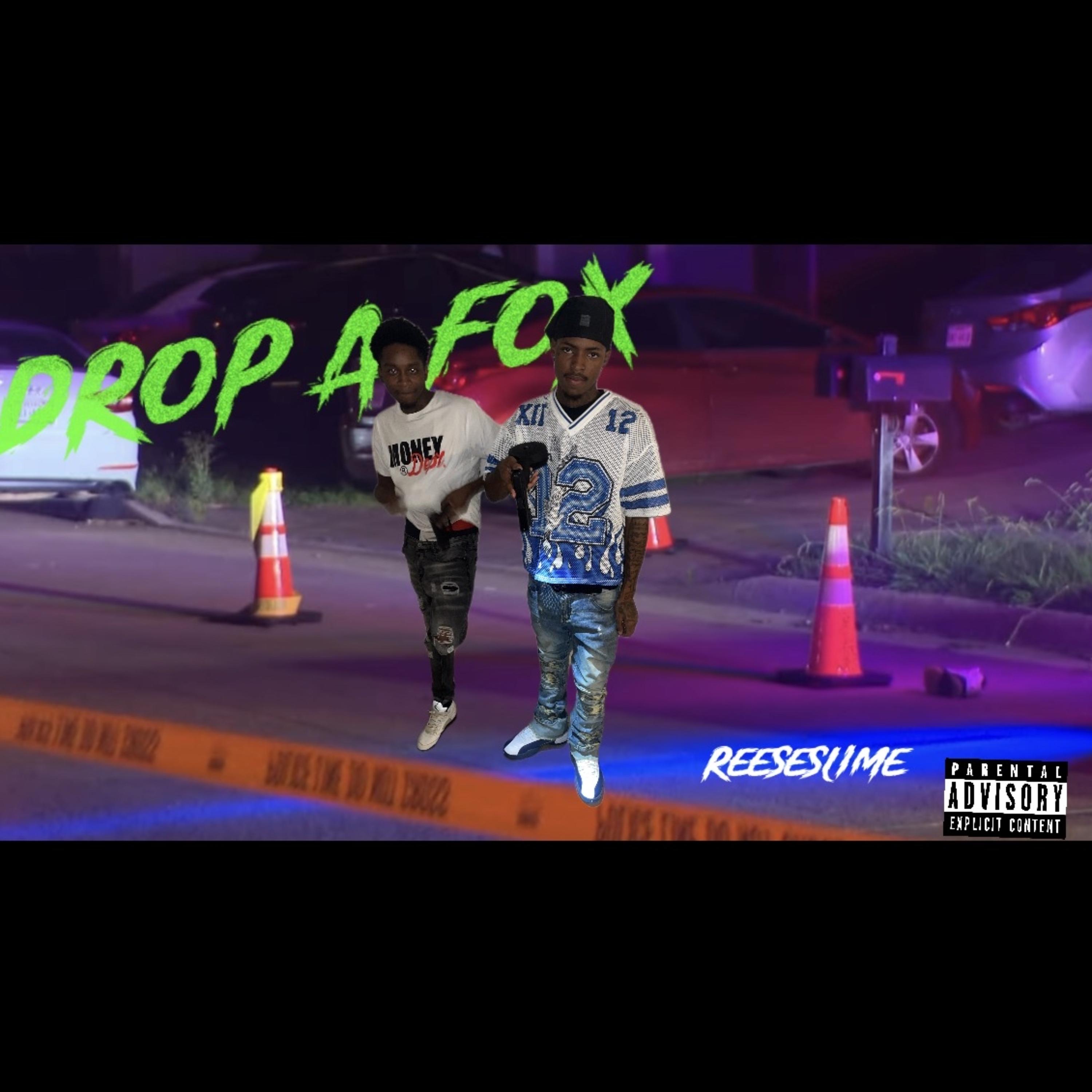 Drop A Fox artwork
