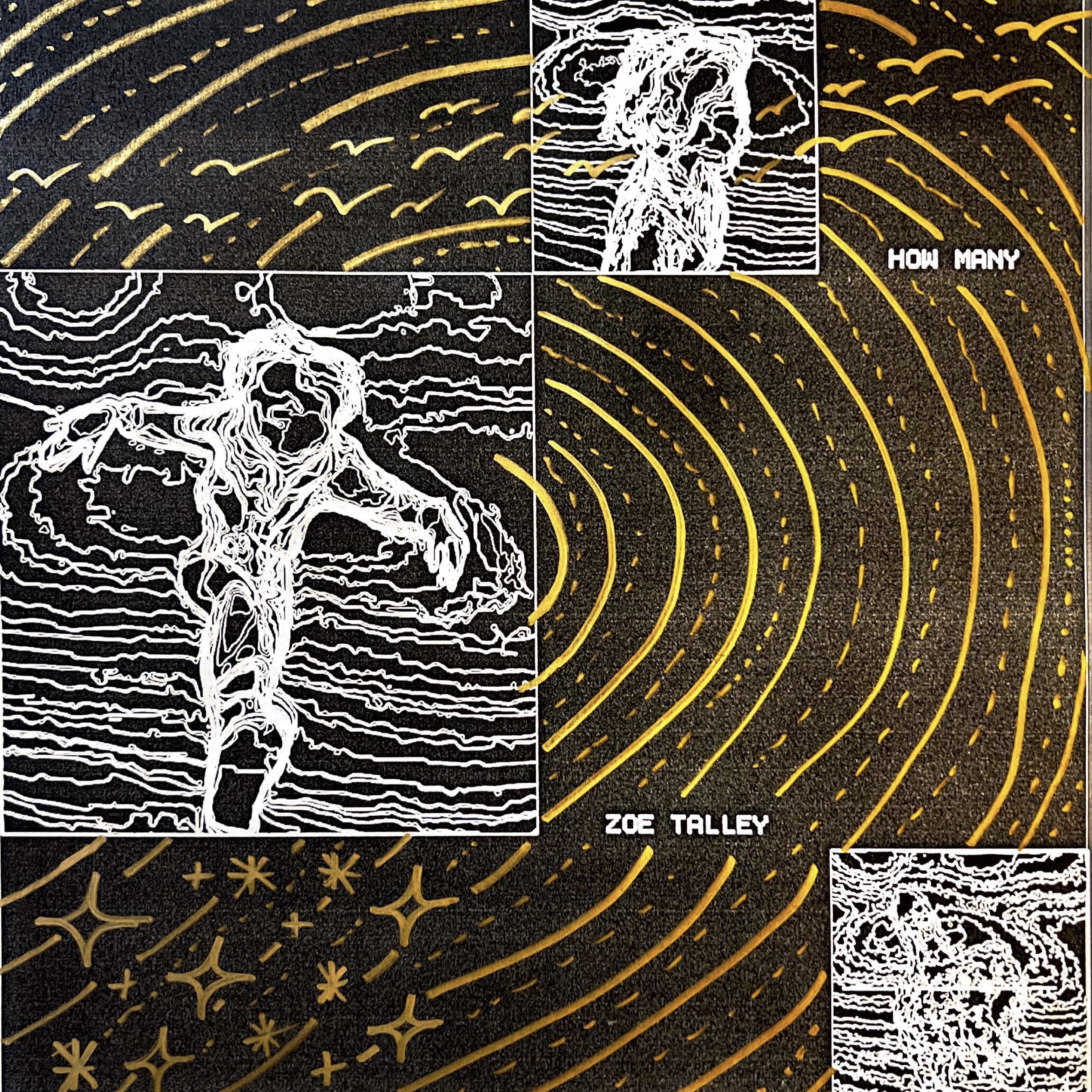 HOW MANY? by Zoe Talley cover art