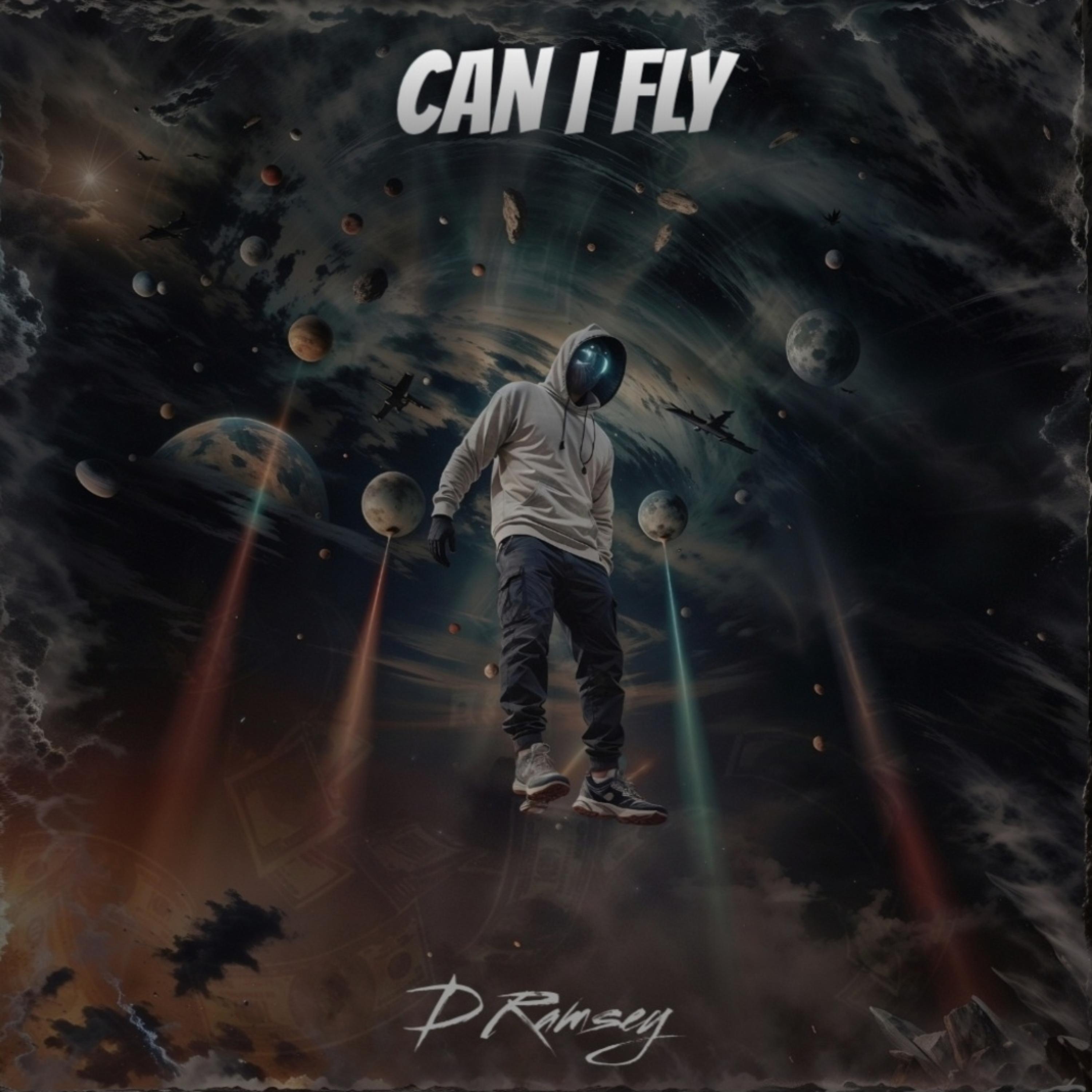 Can I Fly artwork