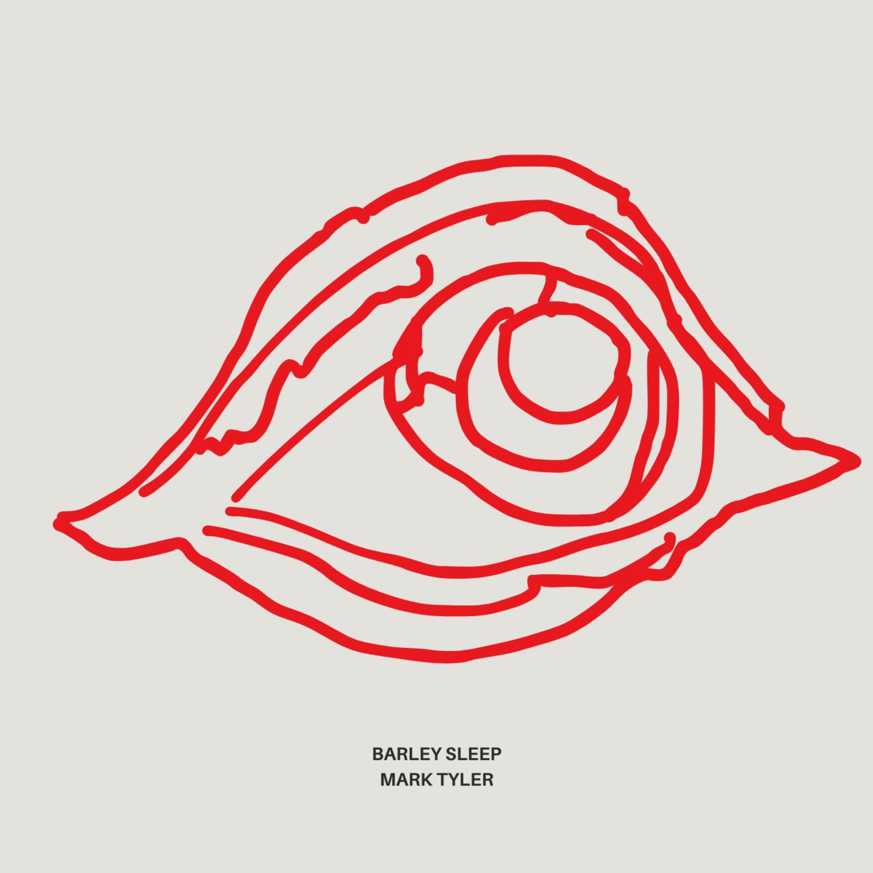 Barely sleep (draft version) artwork