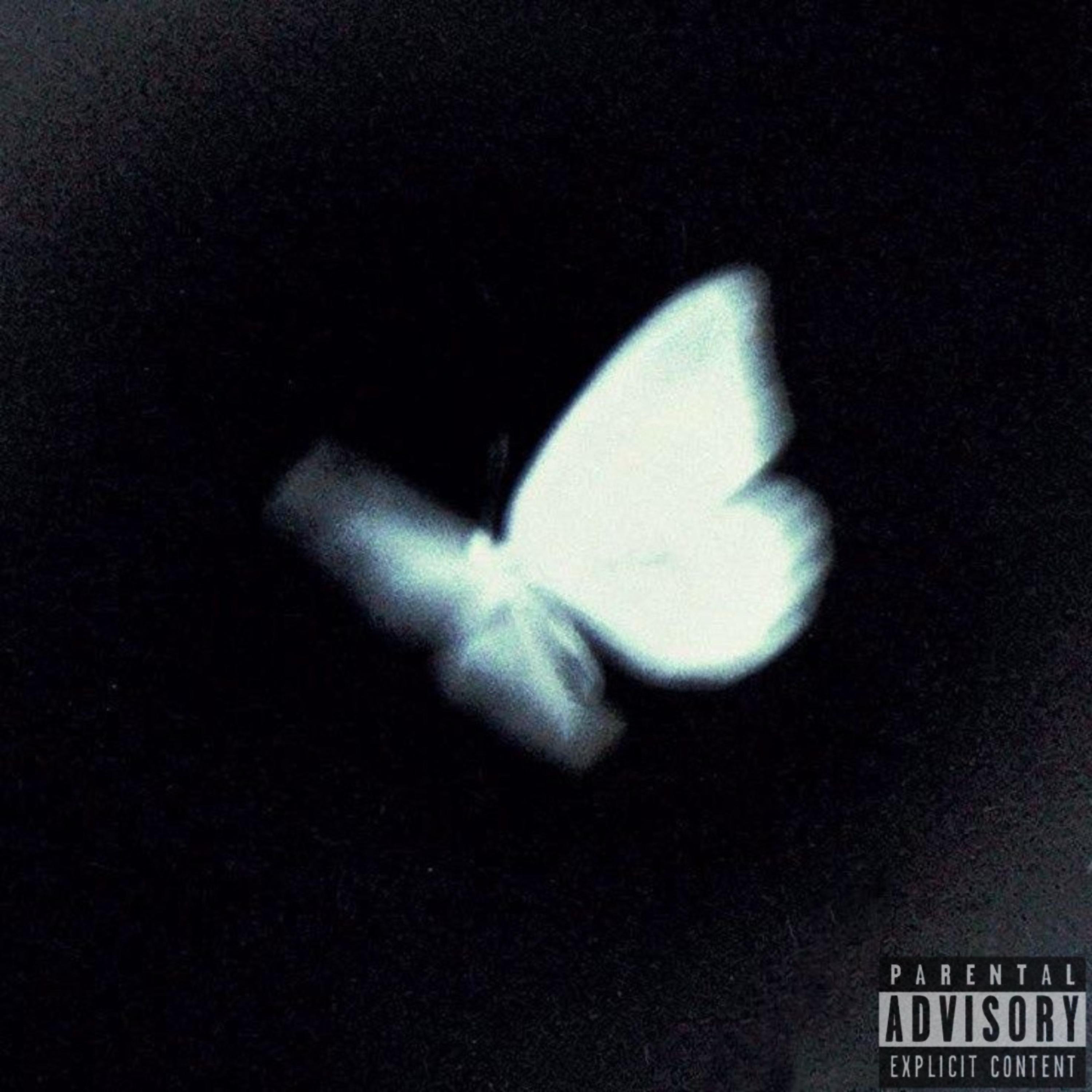 butterfly artwork