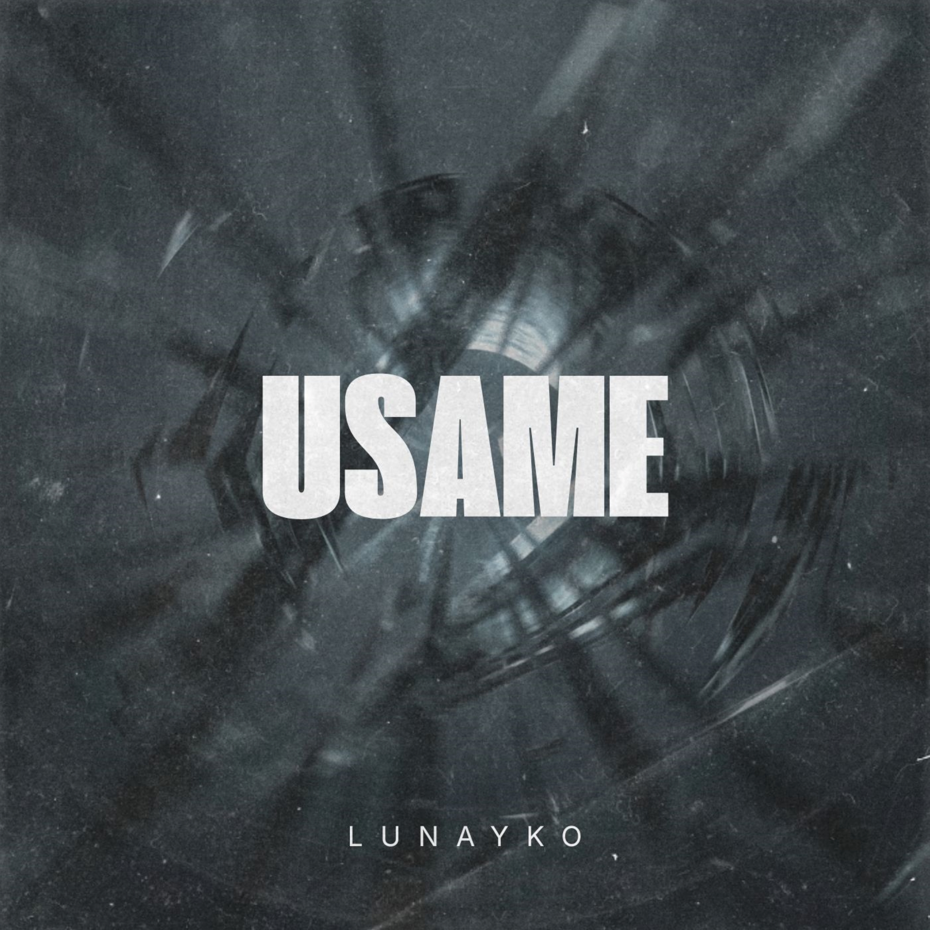 Usame artwork