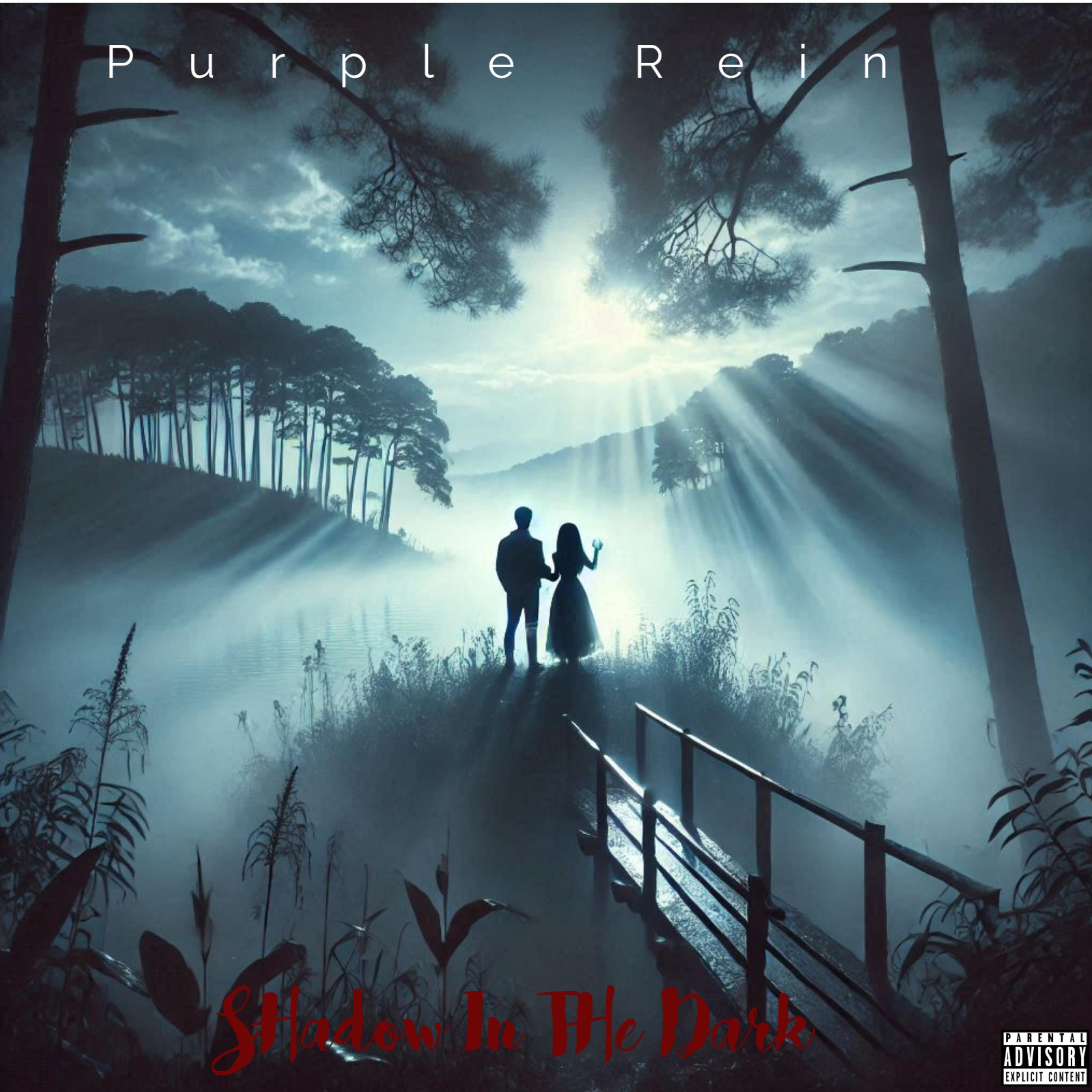 Shadow In The Dark artwork