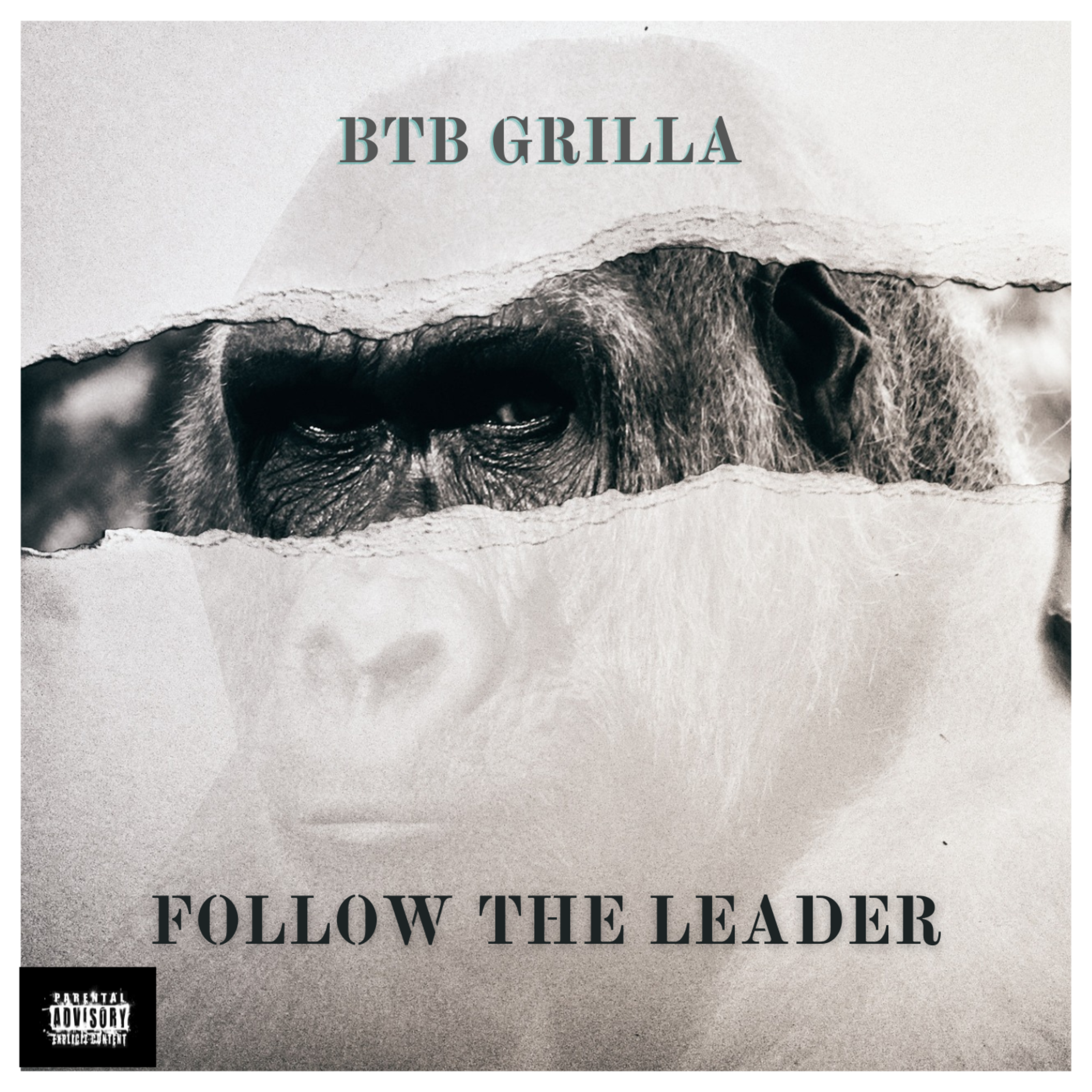 Follow The Leader artwork