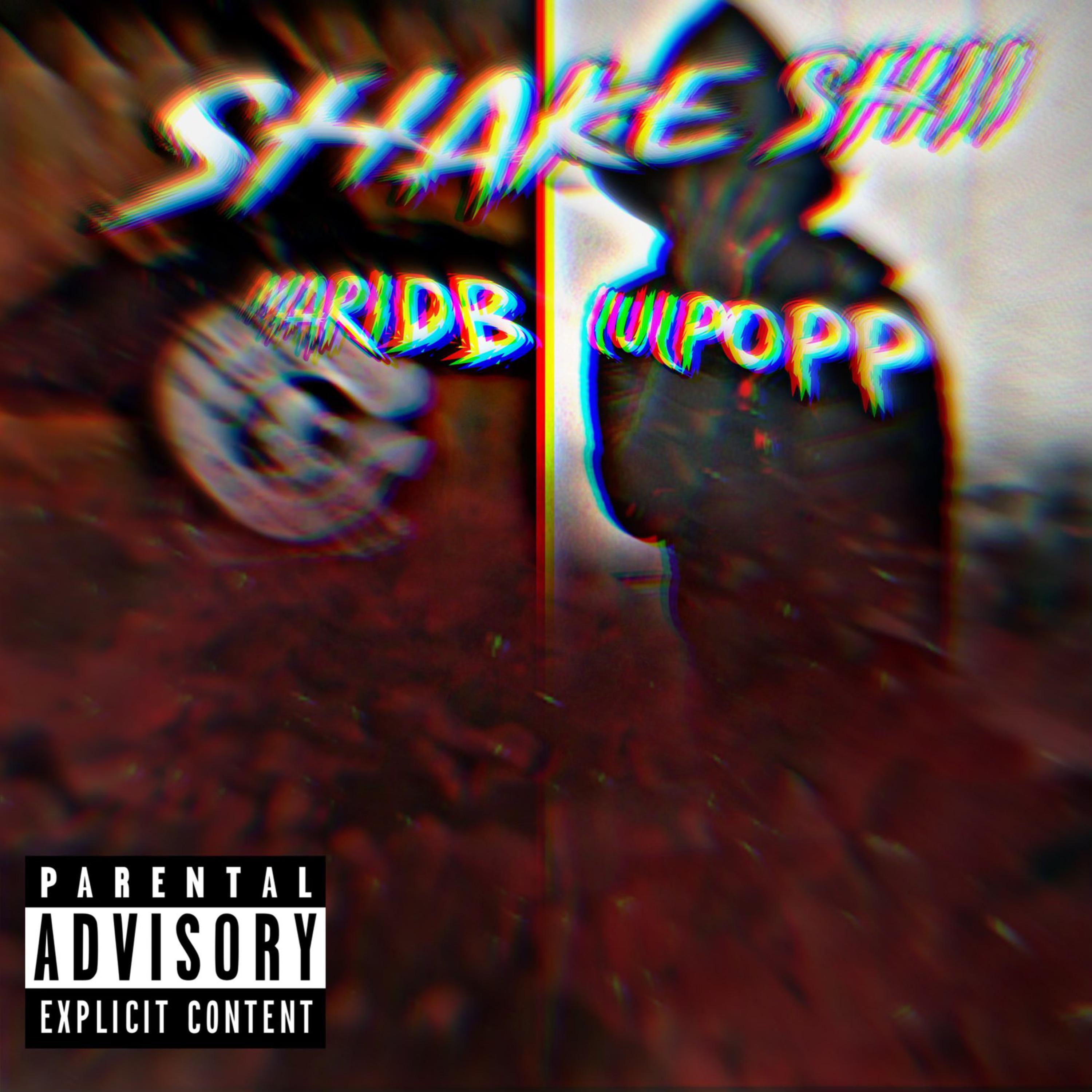 Shake Shii artwork