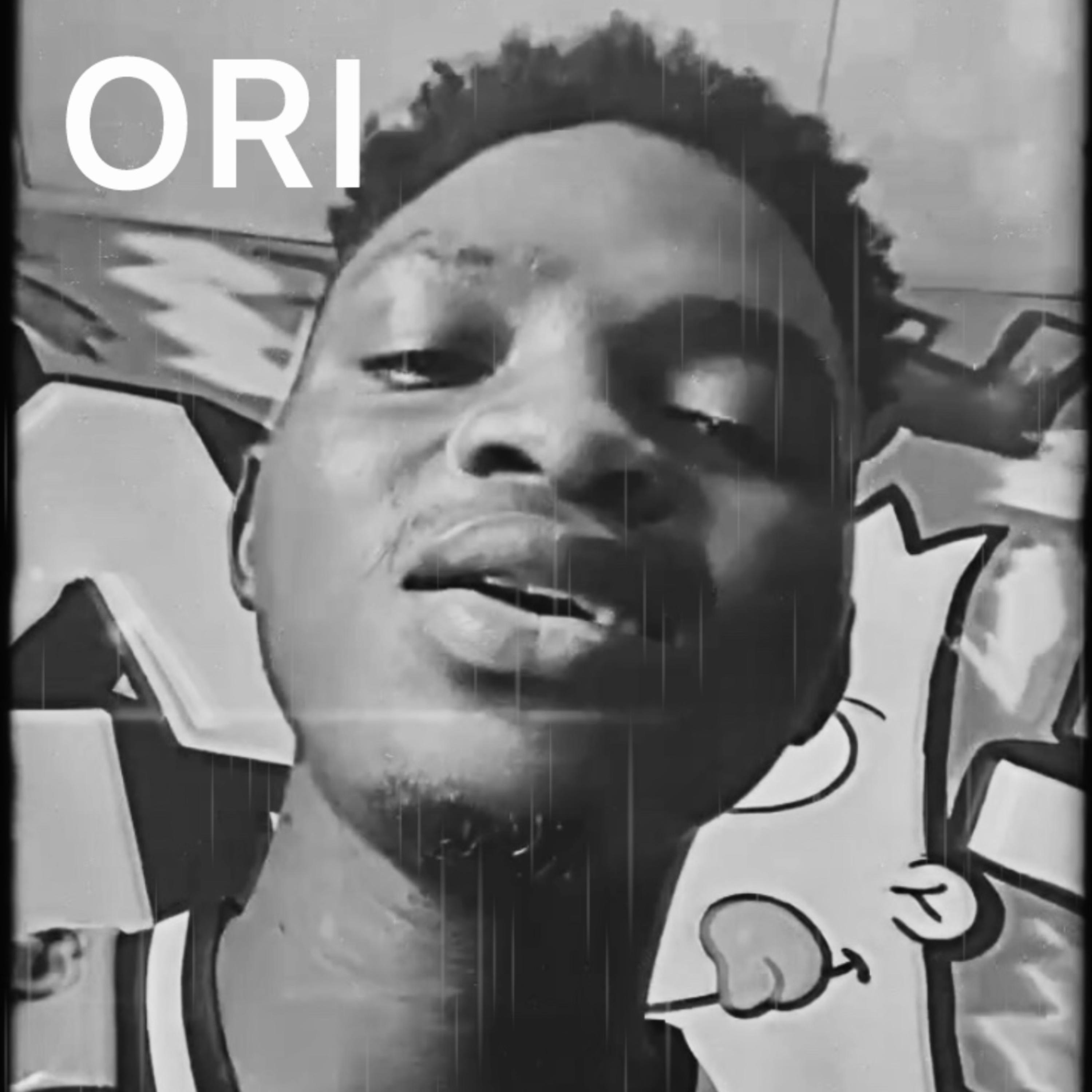 Ori artwork