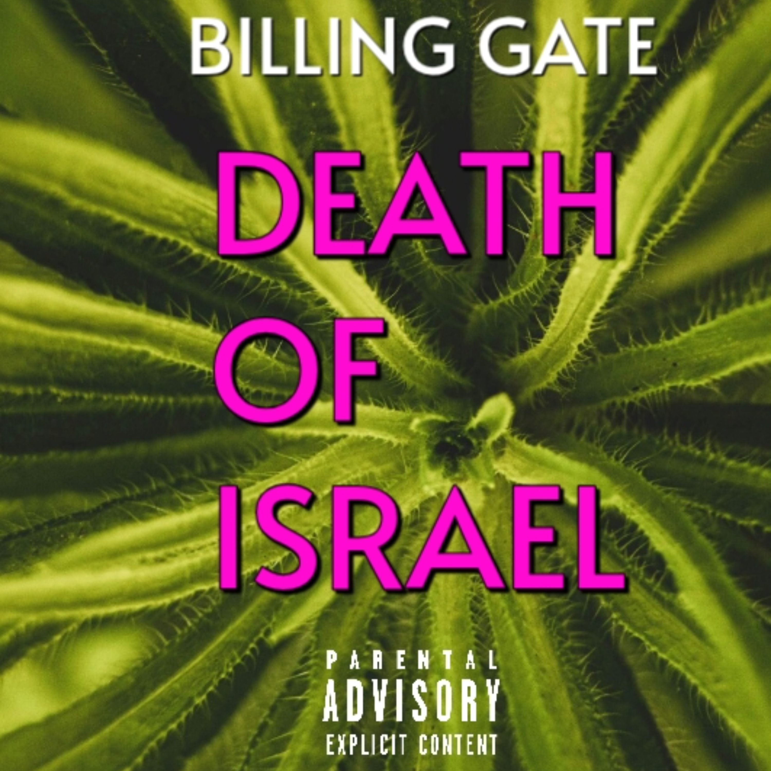 DEATHS OF ISRAEL artwork