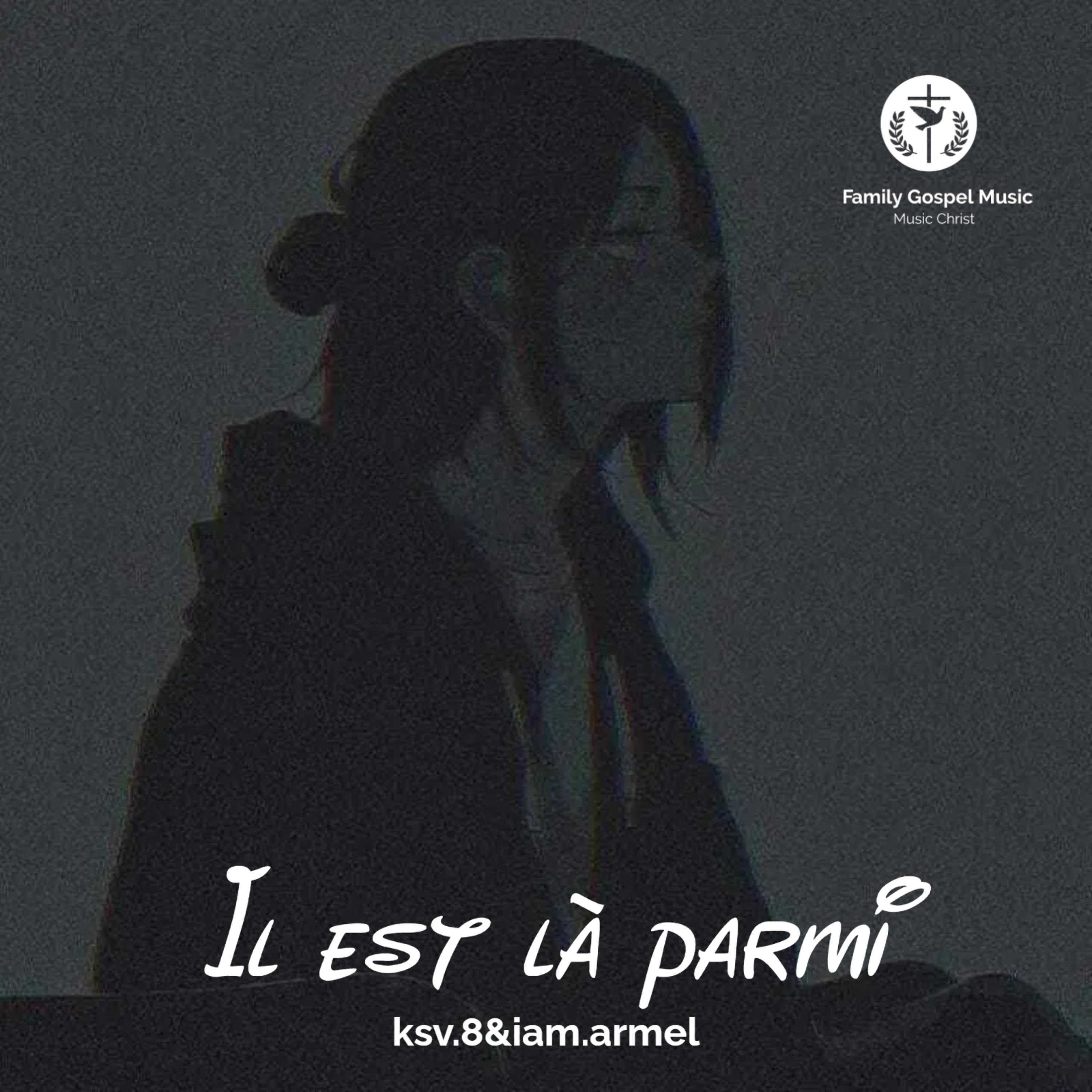 Il est là parmi nous artwork