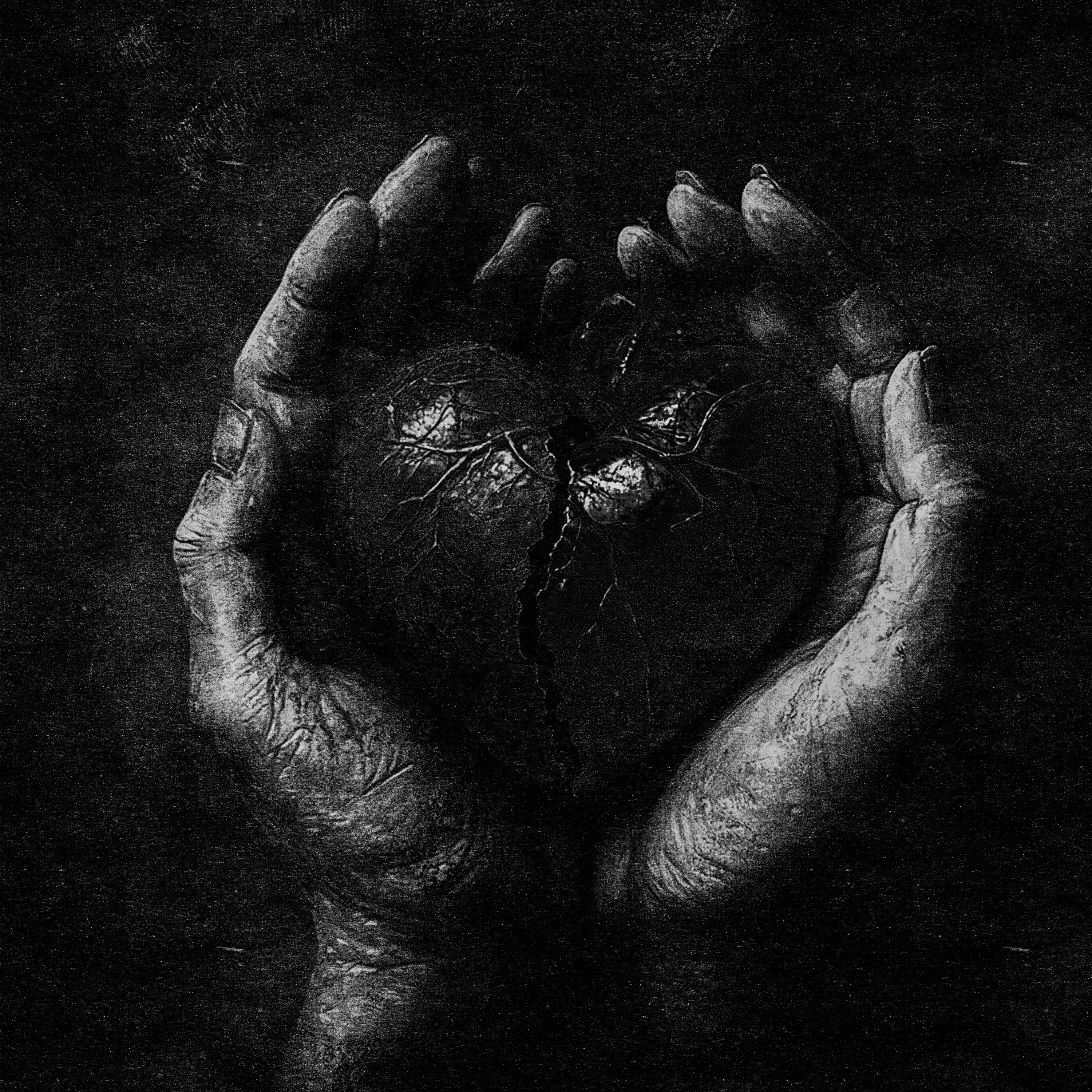 Heart Full Of Scars artwork