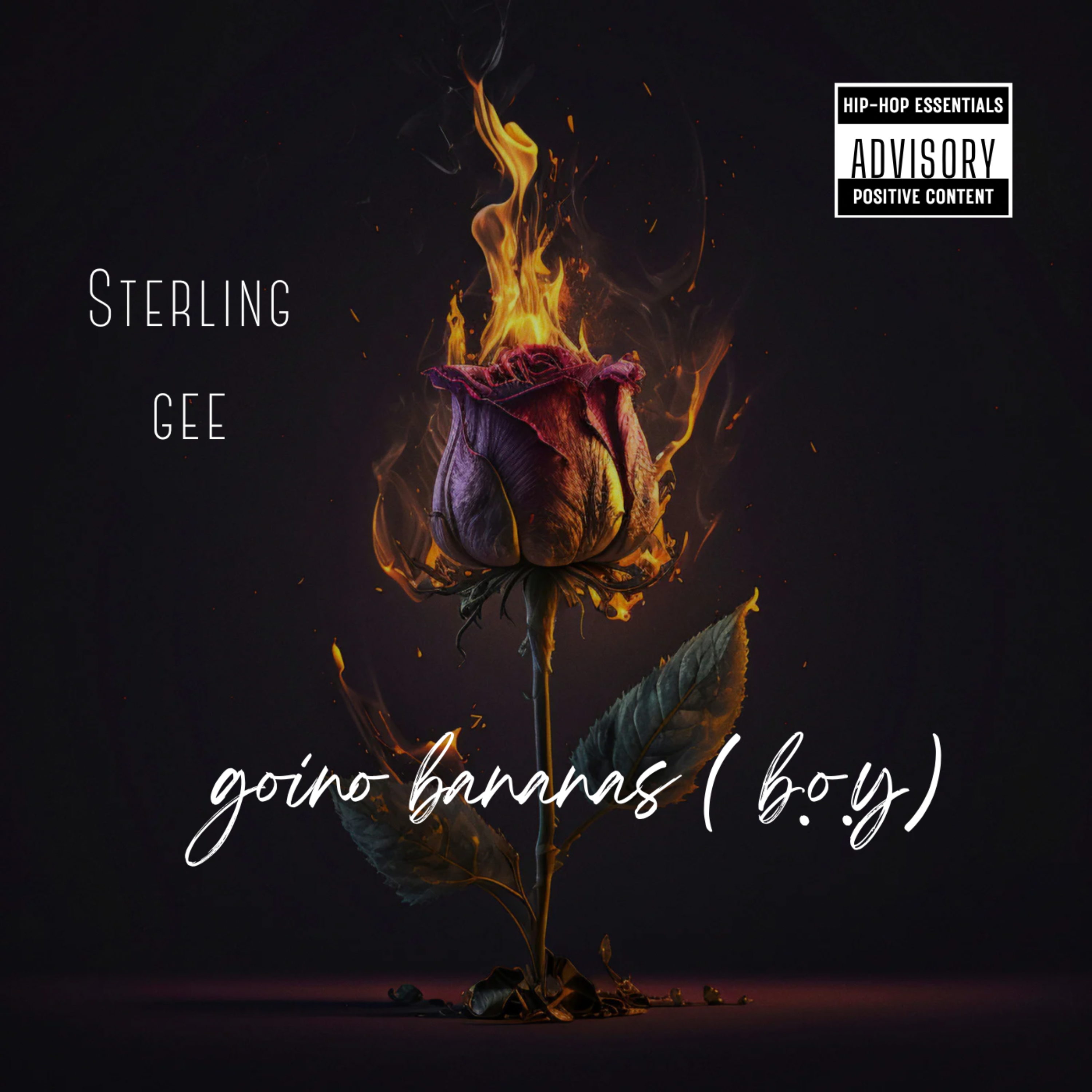 Going Bananas (B.o.y) artwork