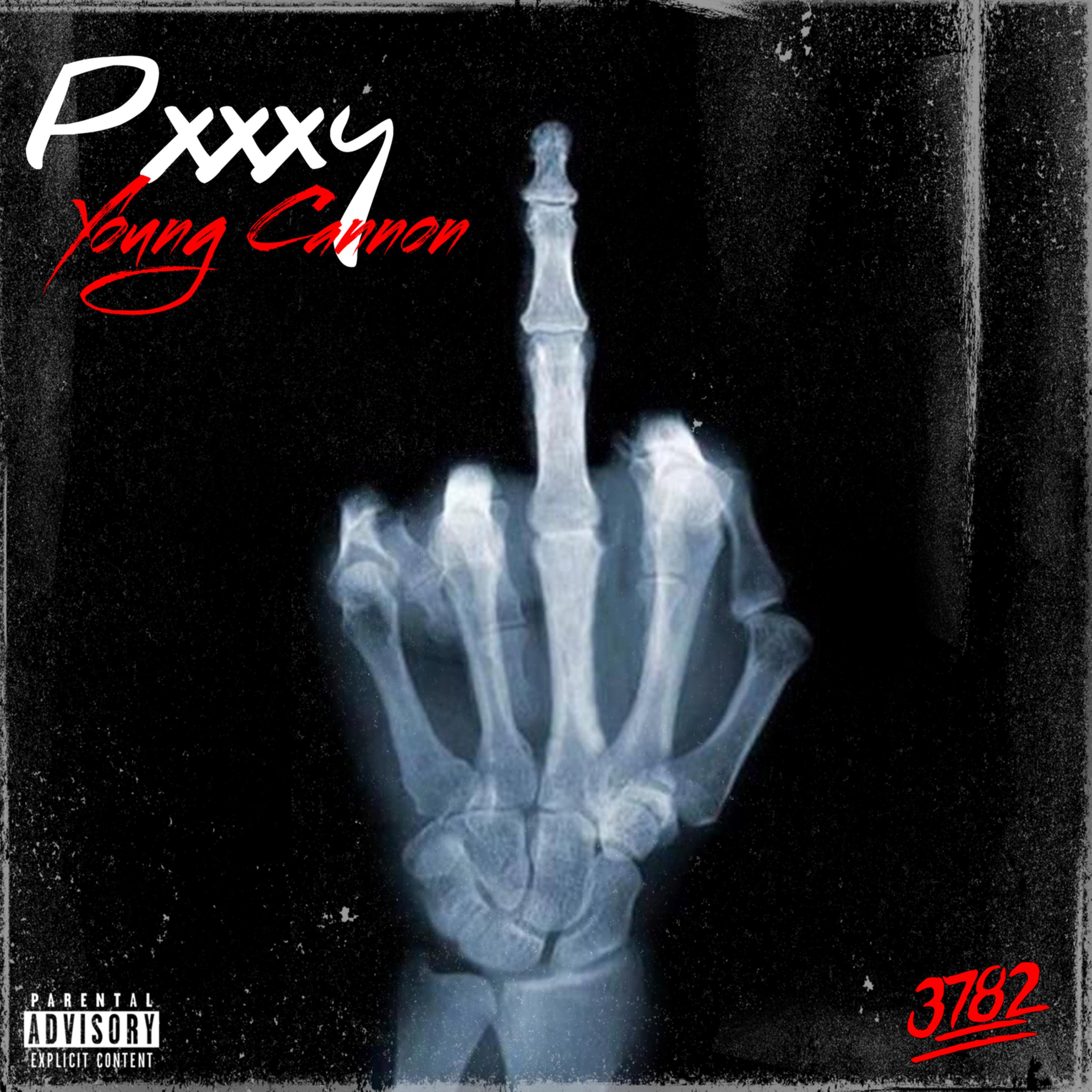 Pxxxy artwork