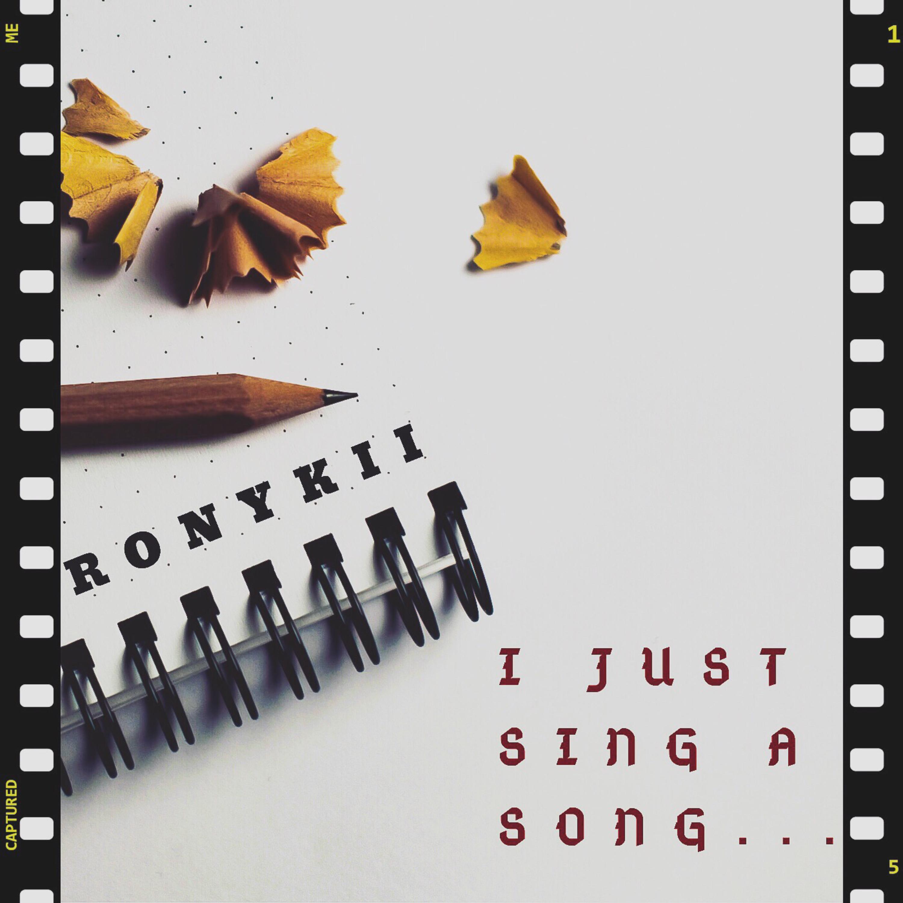 I JUST SING A SONG artwork