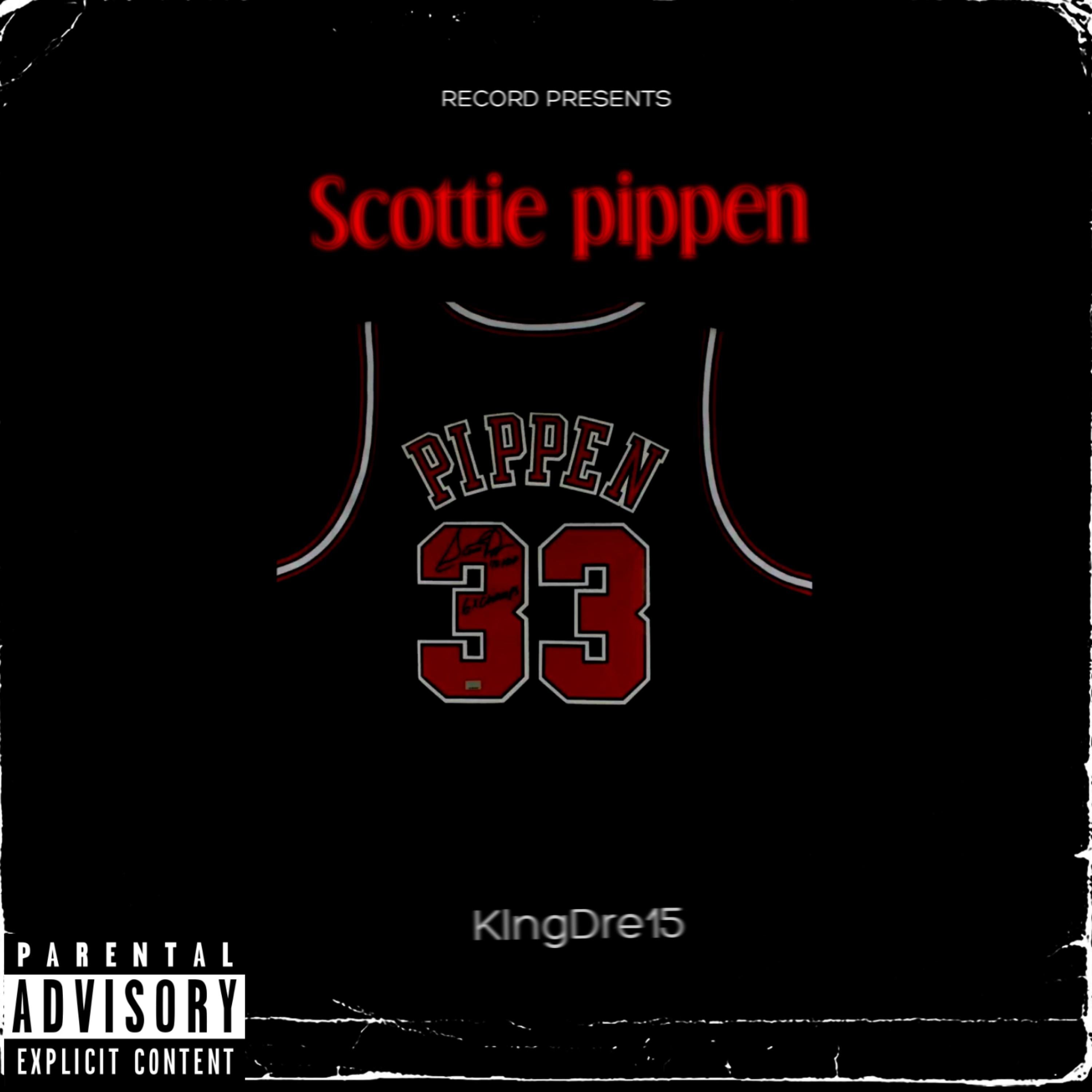 Scottie Pippen artwork