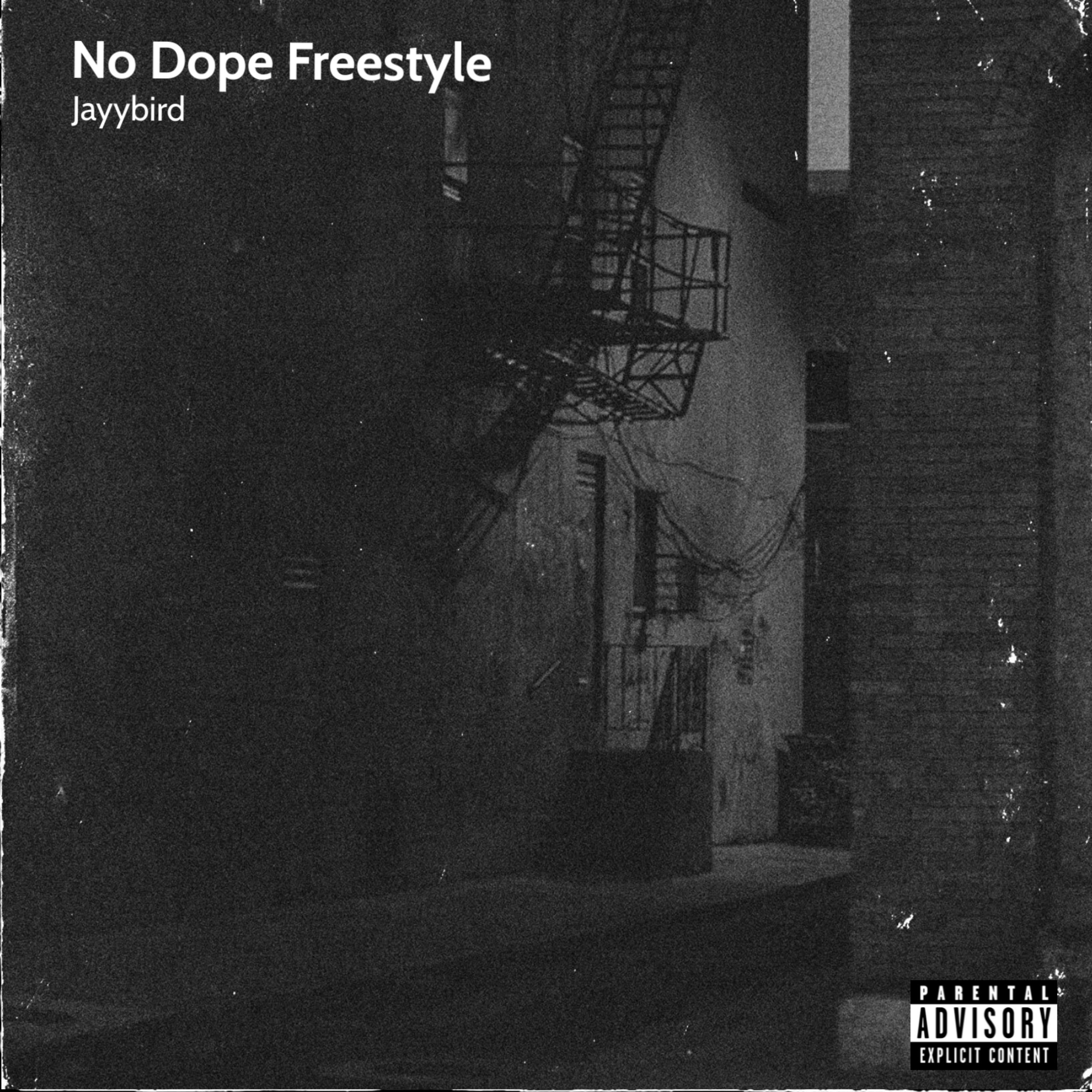No Dope Freestyle artwork