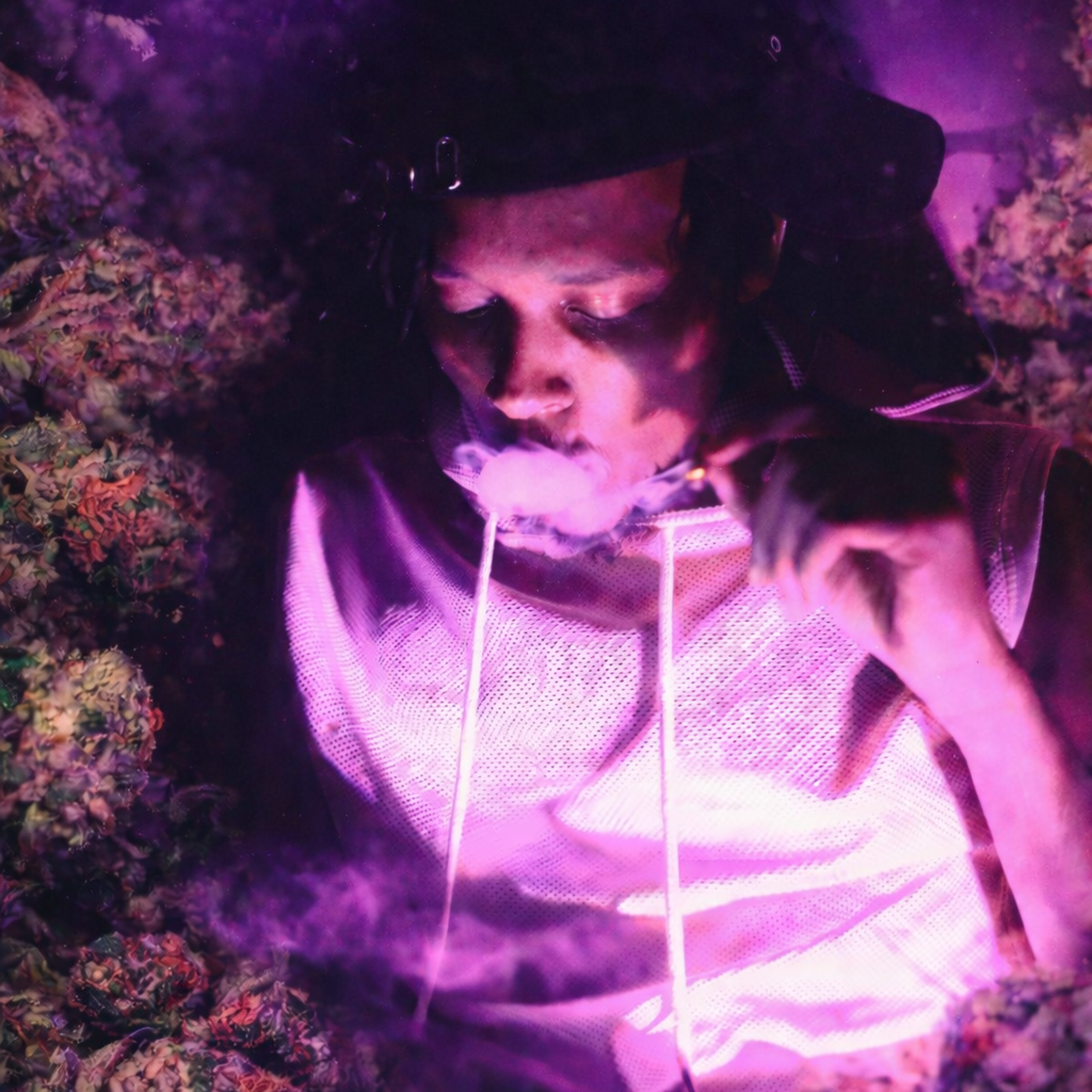 Smoke Sesh 2 artwork