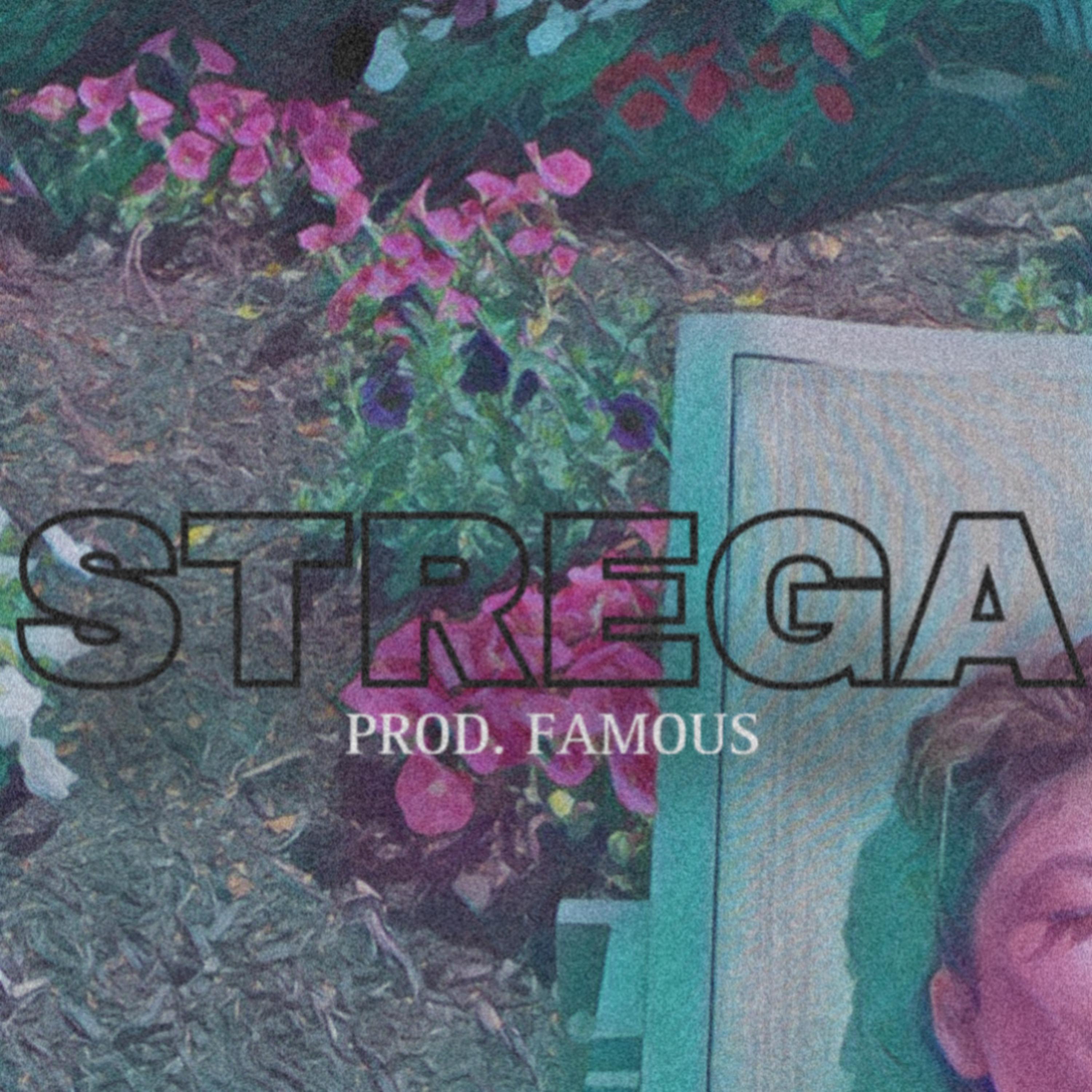 STREGA artwork