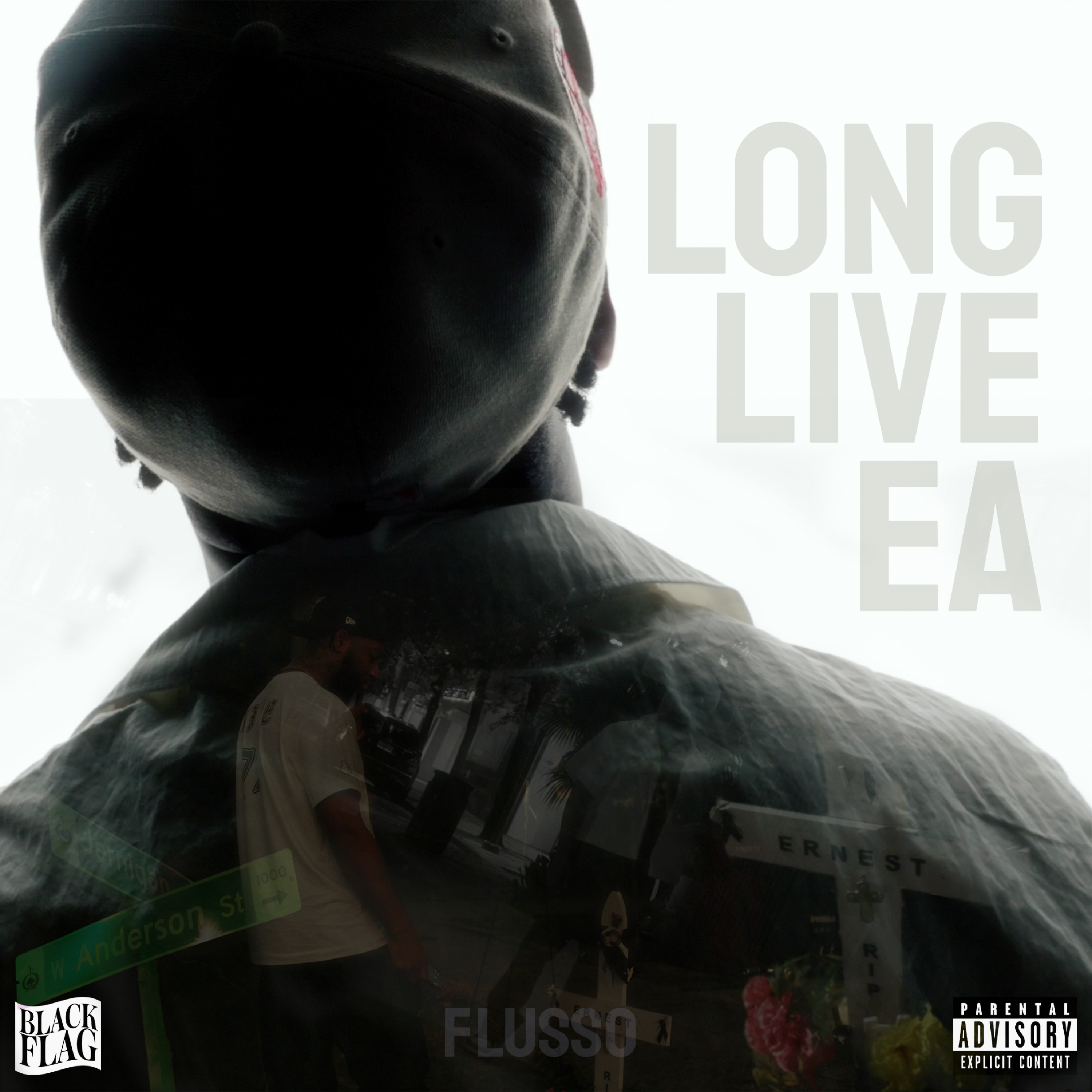 Long Live E.A artwork